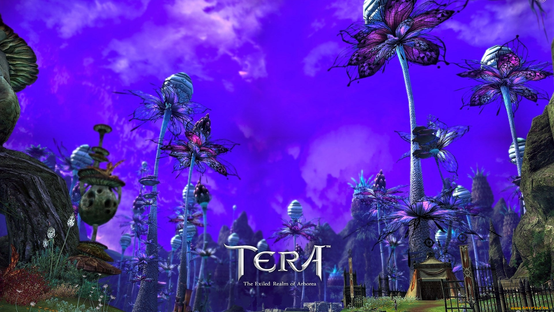 видео, игры, tera, , the, exiled, realm, of, arborea, цветы, постройки