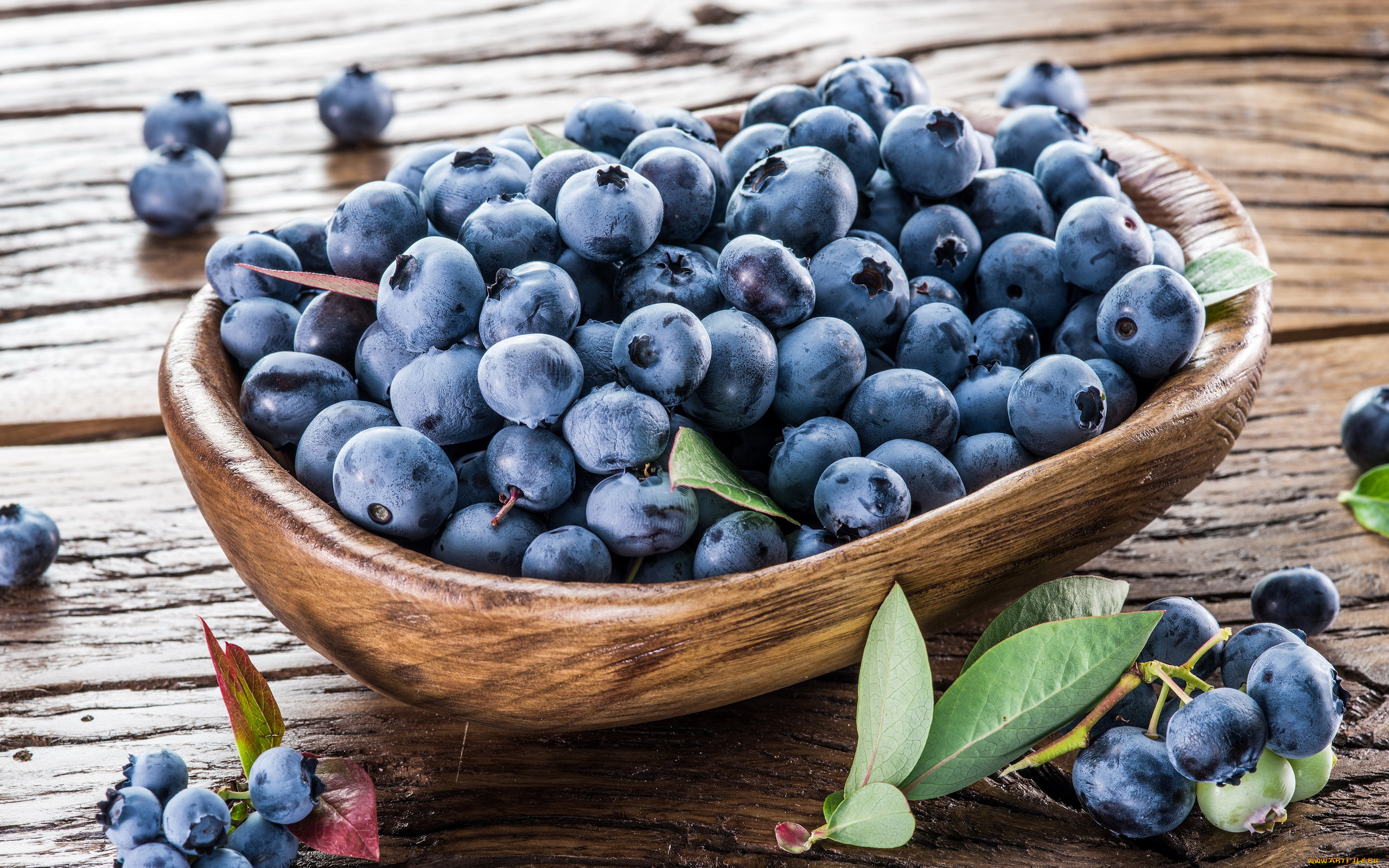 еда, голубика, , черника, ягоды, черника, крупная