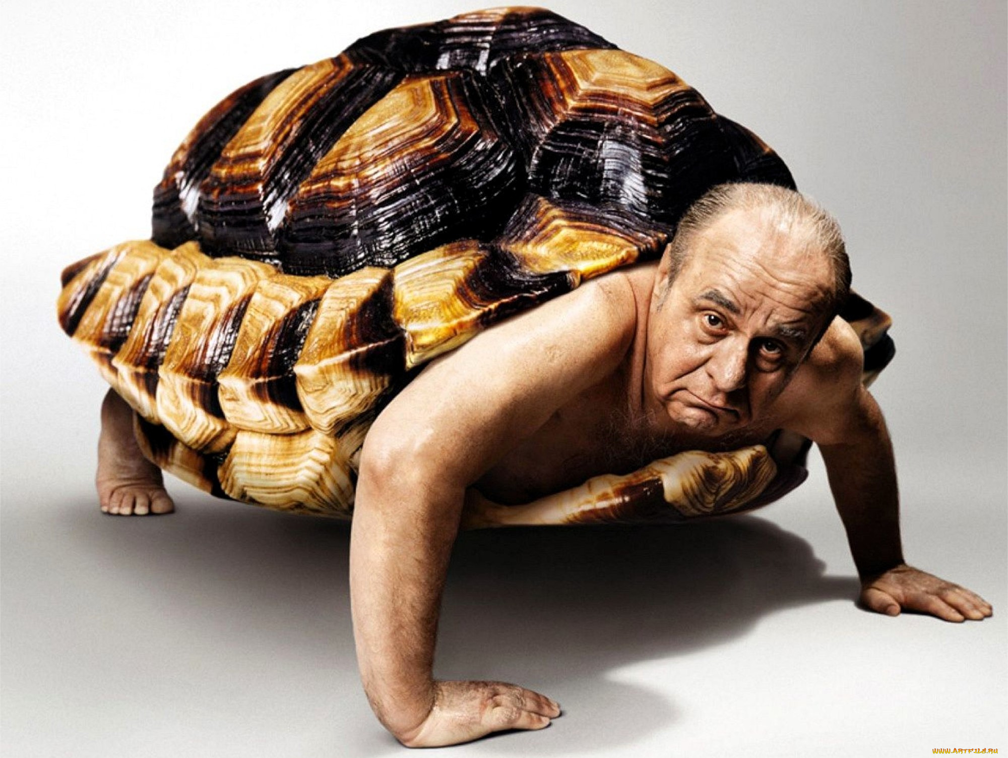 юмор, и, приколы, черепаха, панцирь, старик