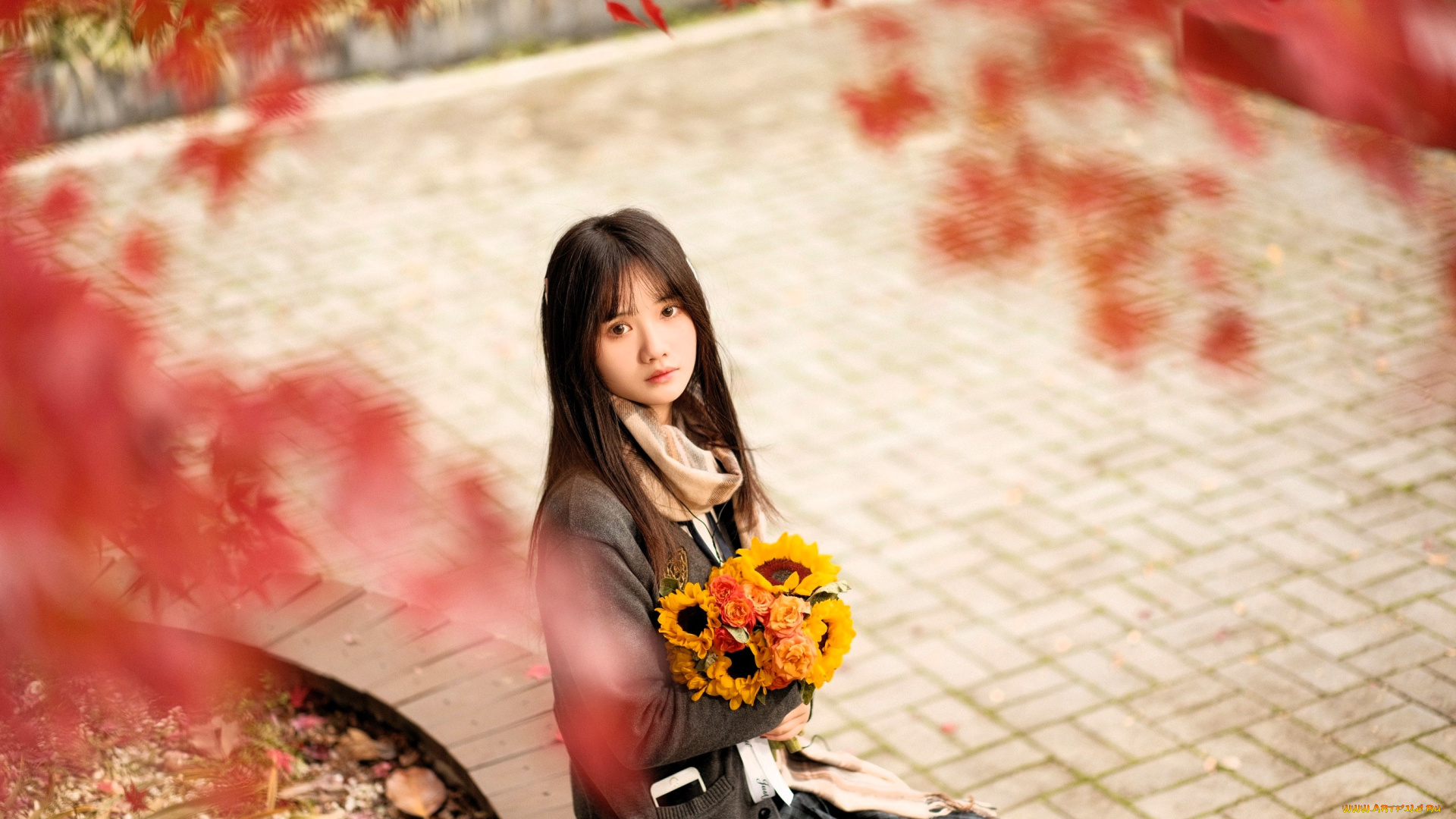 девушки, -, азиатки, шатенка, кофта, юбка, букет, деревья, осень, парк