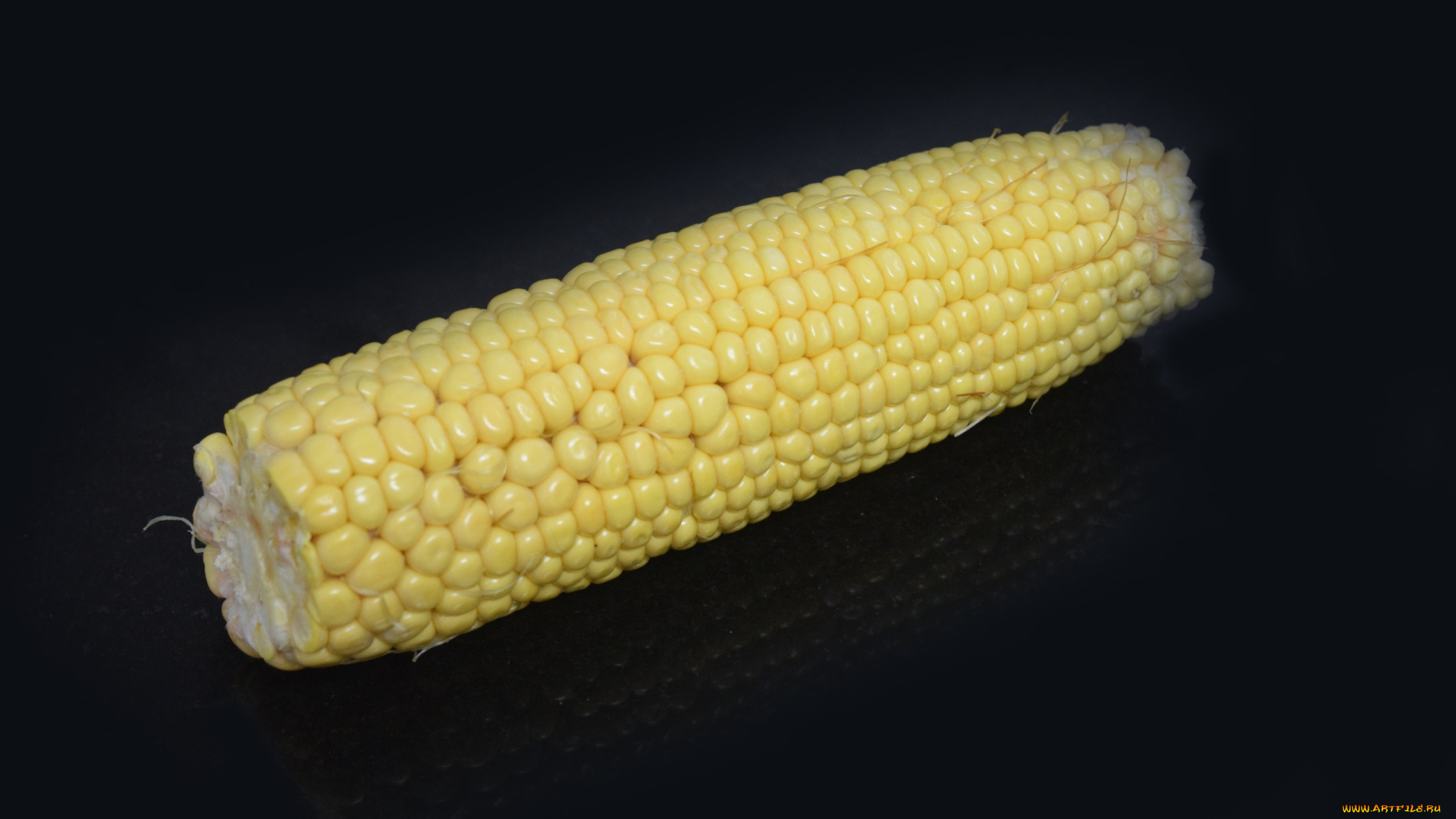 еда, кукуруза, початок, зерна