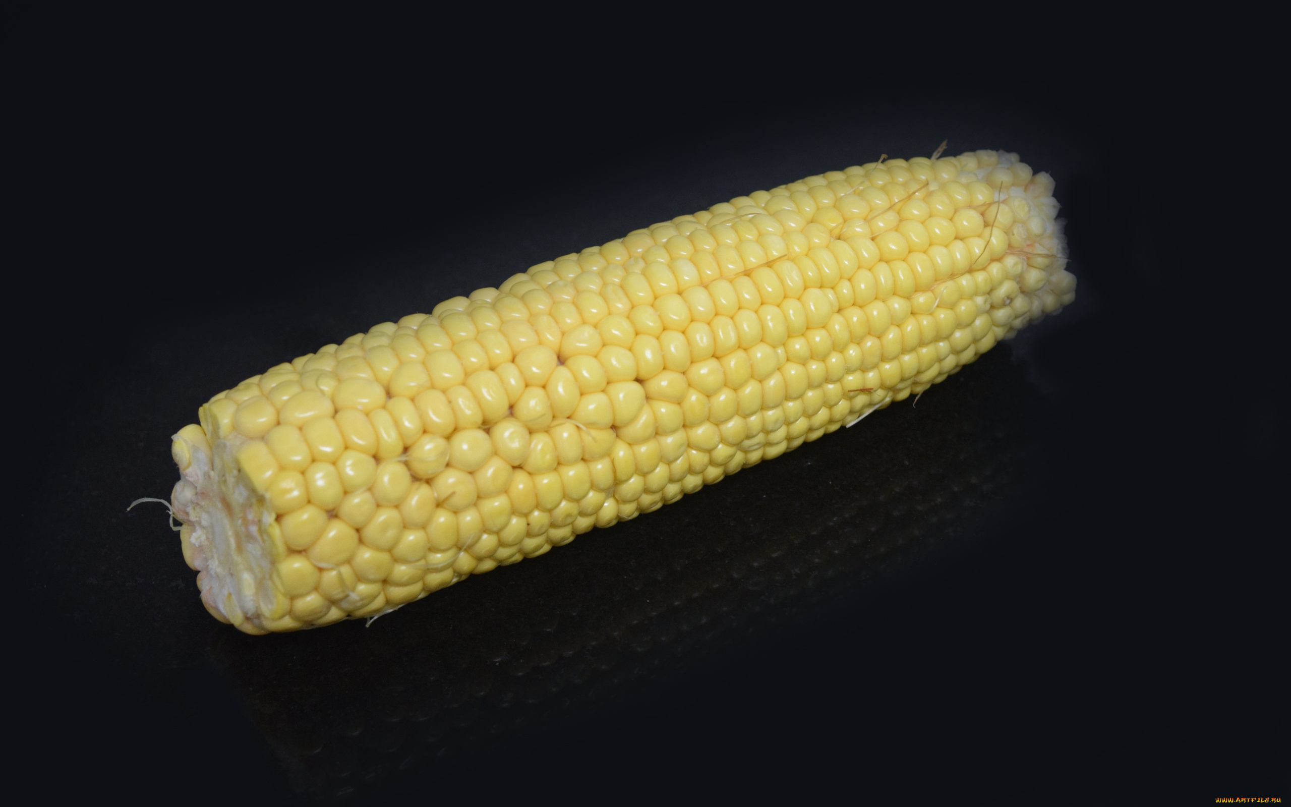 еда, кукуруза, початок, зерна