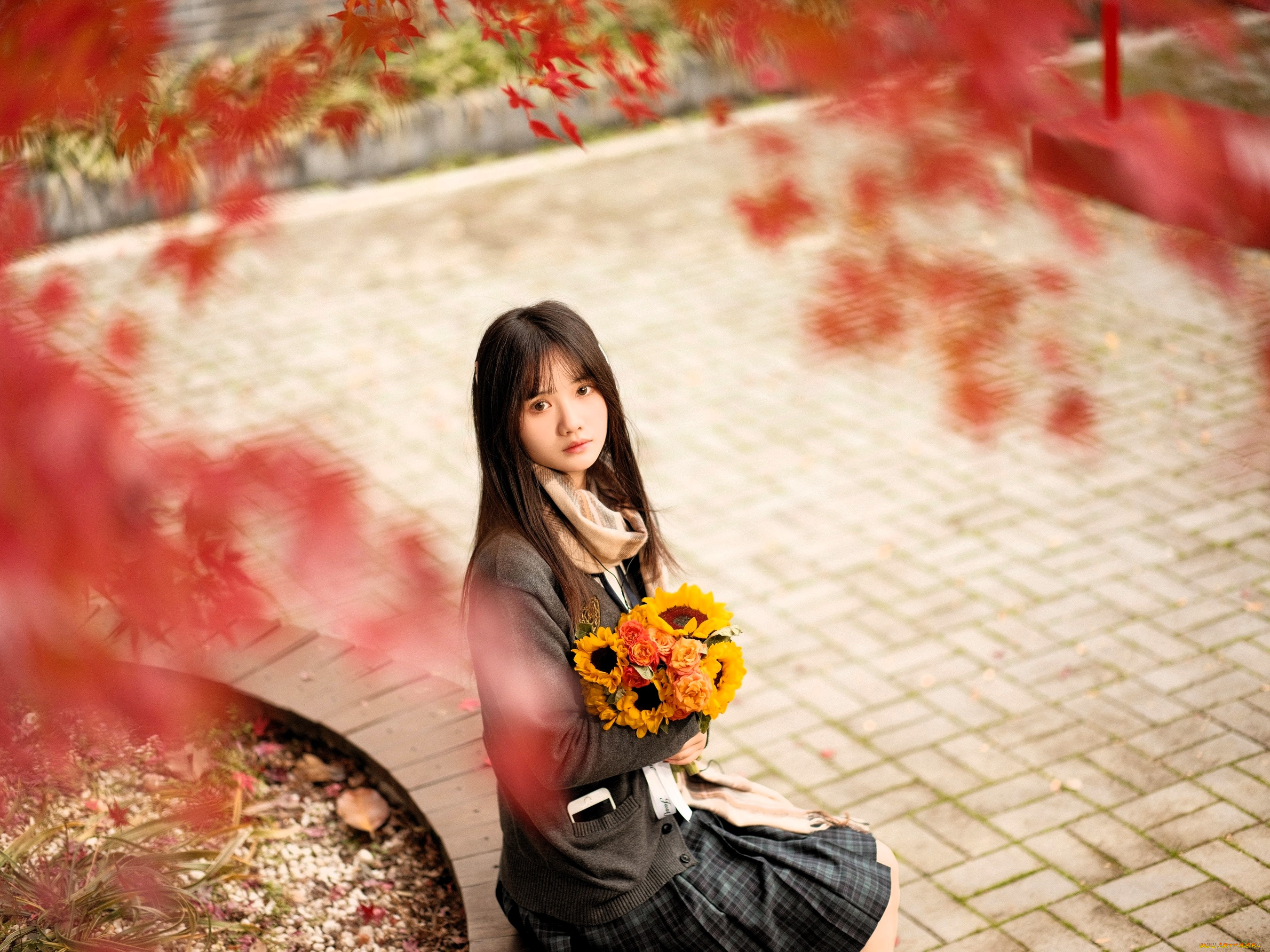 девушки, -, азиатки, шатенка, кофта, юбка, букет, деревья, осень, парк