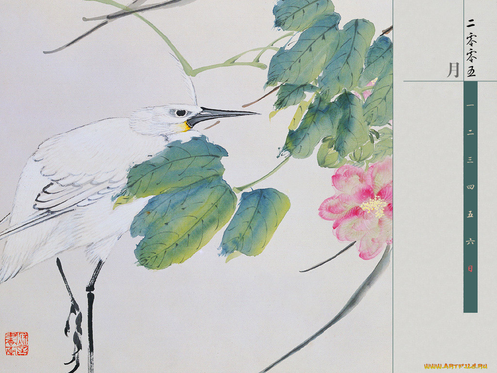 рисованные, животные, птицы