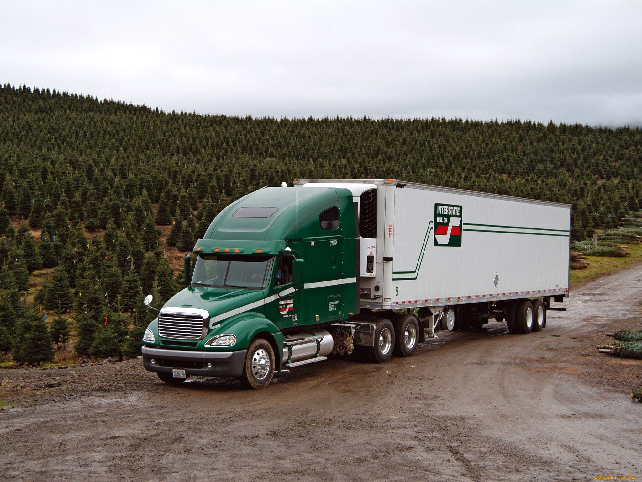 автомобили, freightliner