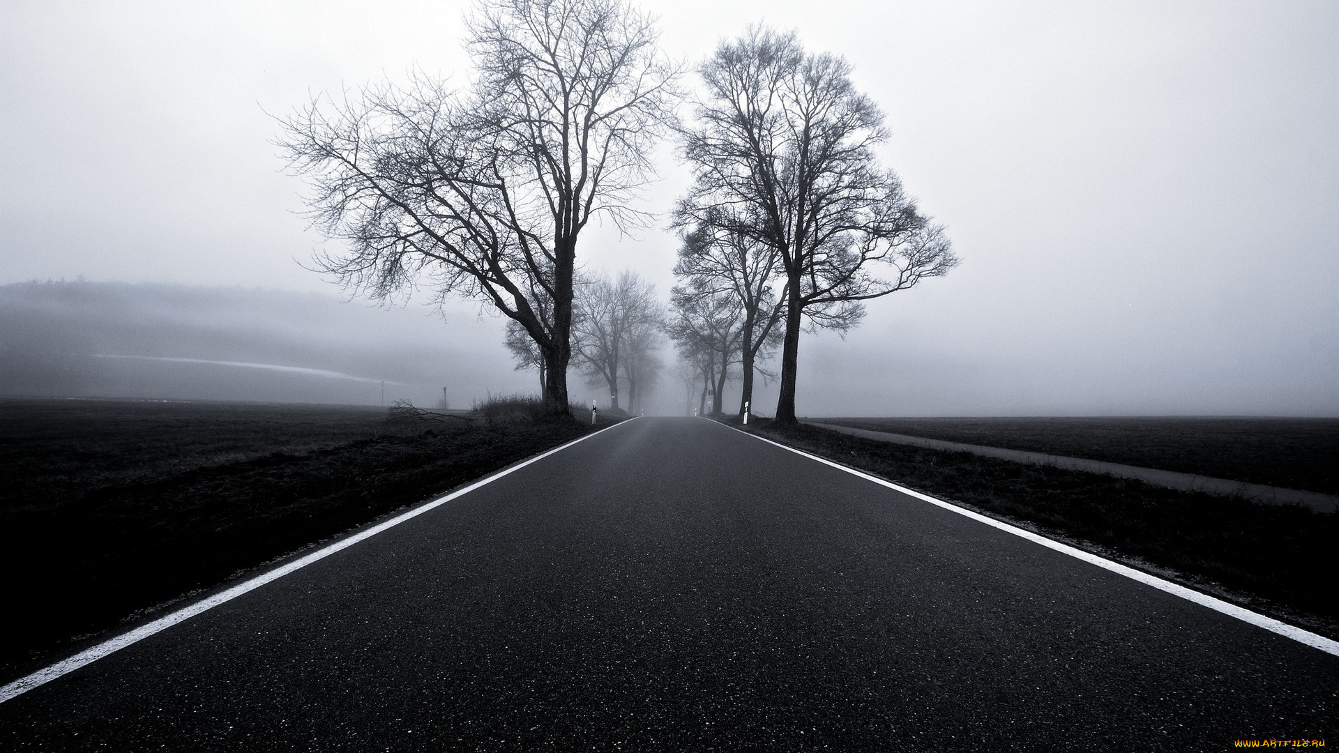 природа, дороги, дорога, туман
