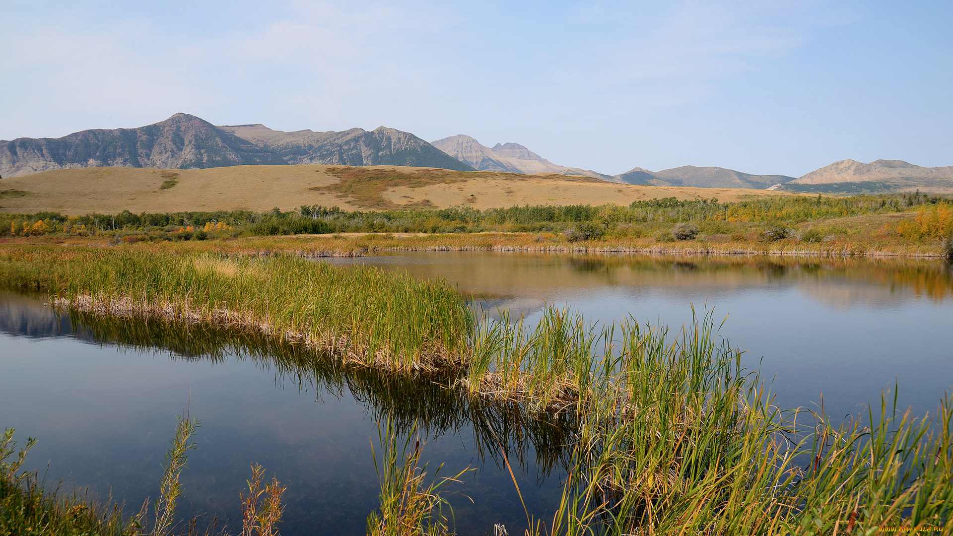 природа, реки, озера, вода, пруд, горы, трава, болото