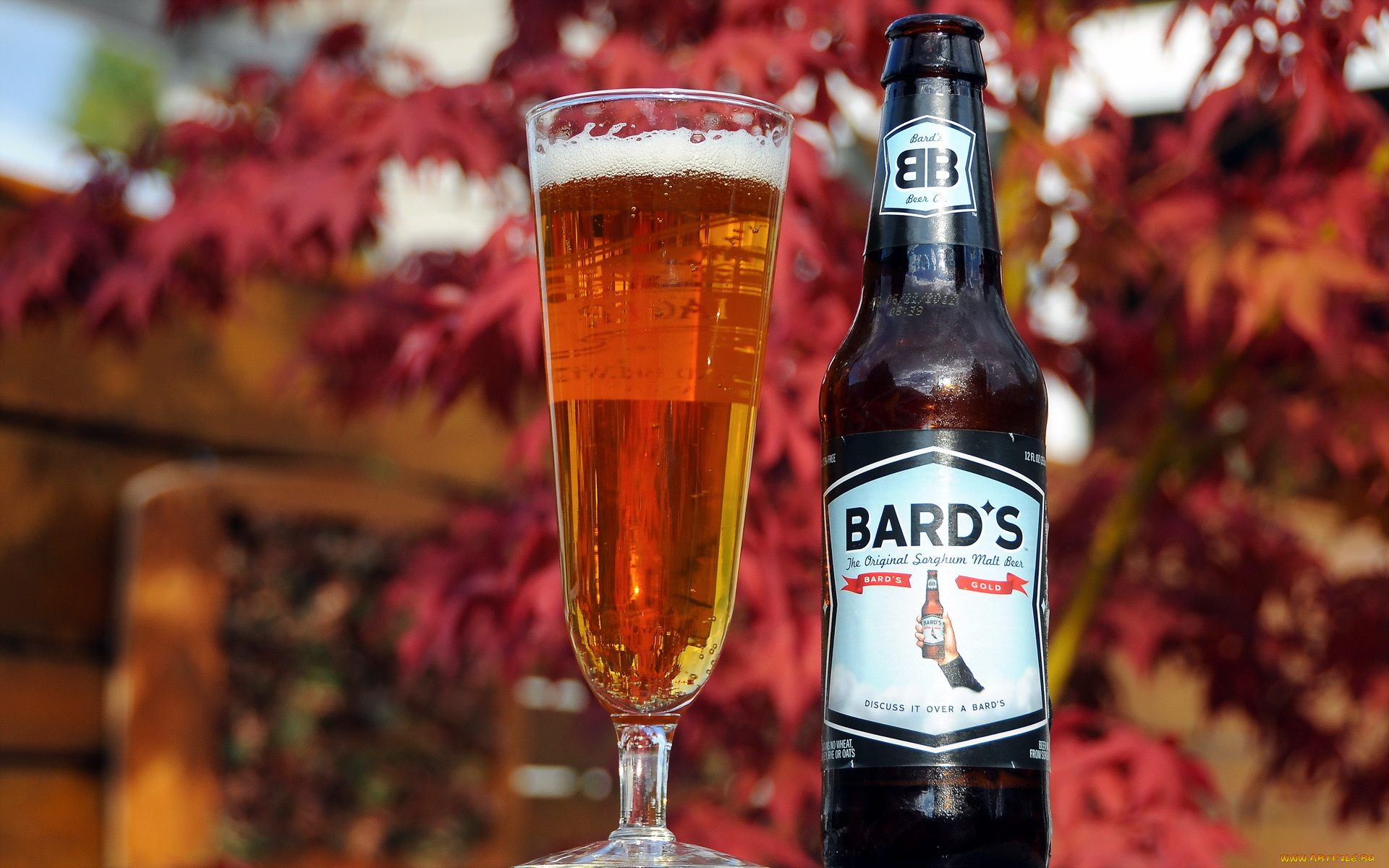 бренды, напитков, разное, бокал, пиво, бутылка