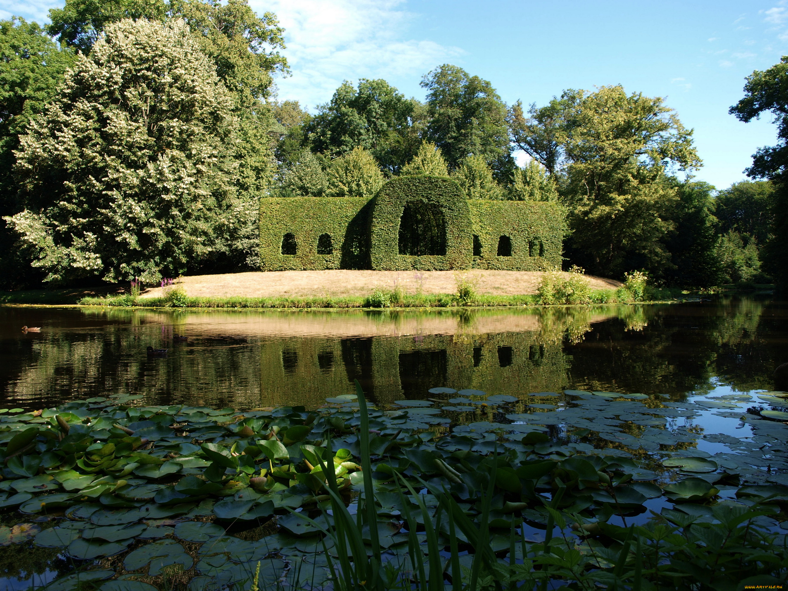 германия, брауншвейг, burgerpark, природа, парк, деревья, водоем