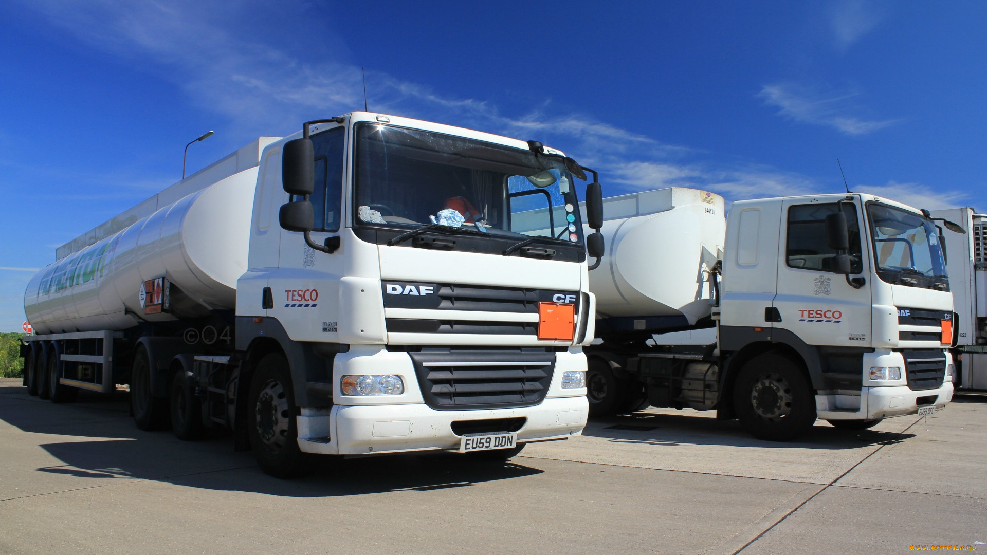 daf, автомобили, нидерланды, автобусы, шасси, седельные, тягачи, trucks, nv