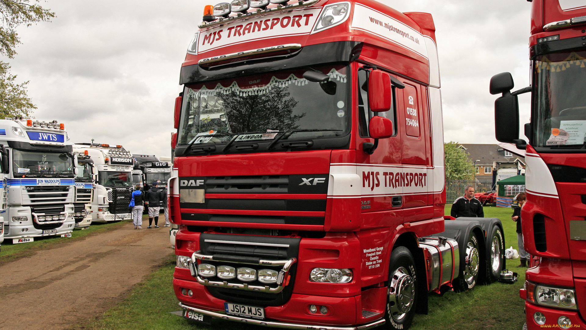 daf, автомобили, нидерланды, автобусы, шасси, седельные, тягачи, trucks, nv