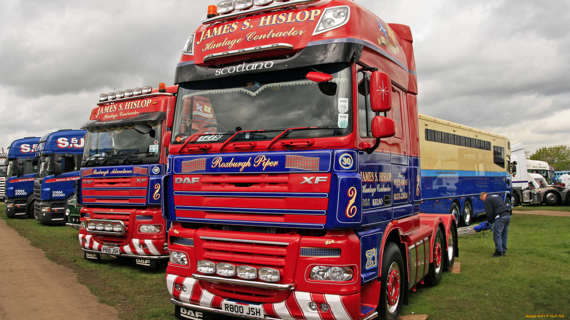 daf, автомобили, седельные, тягачи, trucks, nv, нидерланды, автобусы, шасси