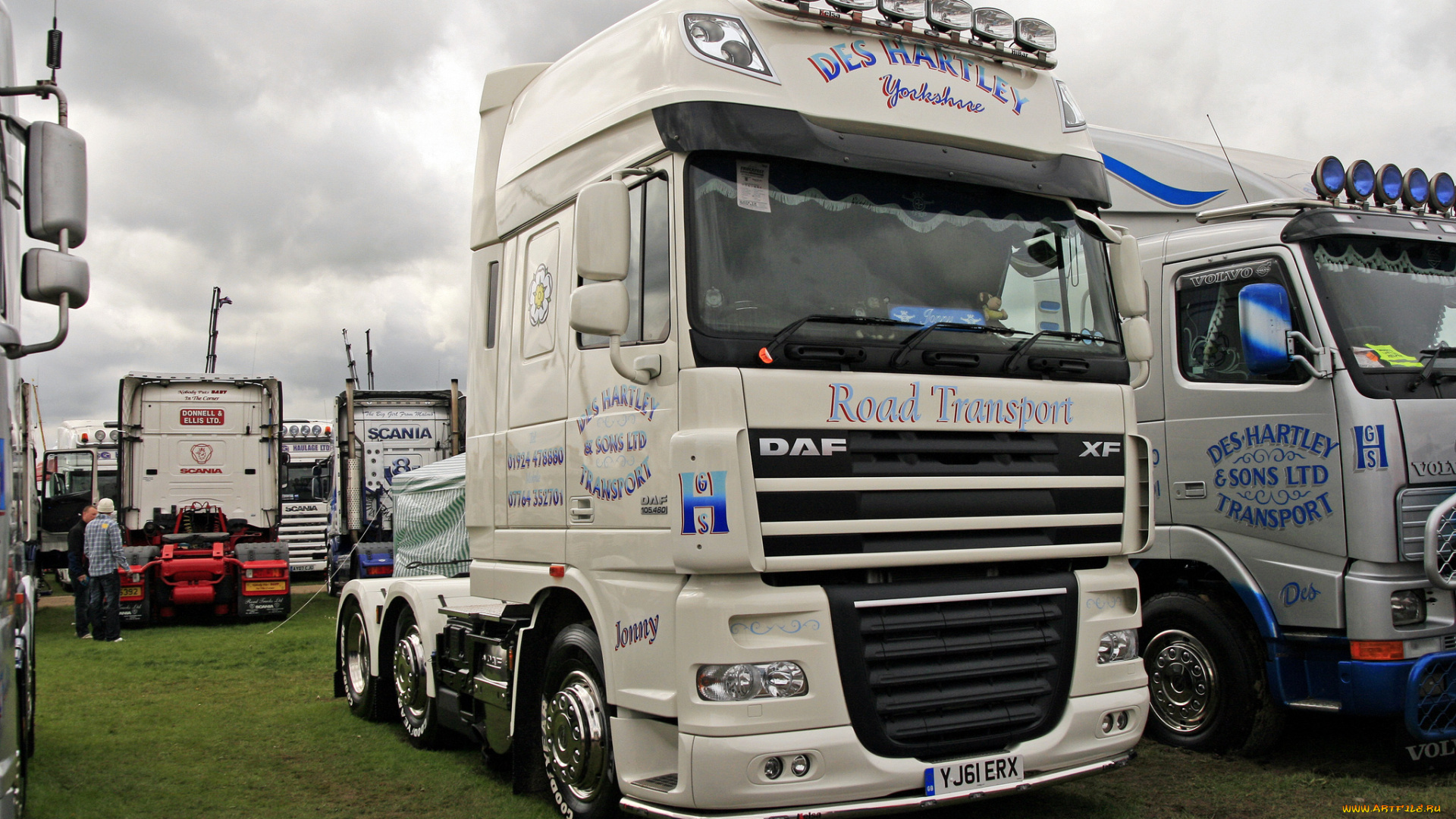 daf, автомобили, шасси, седельные, тягачи, trucks, nv, нидерланды, автобусы