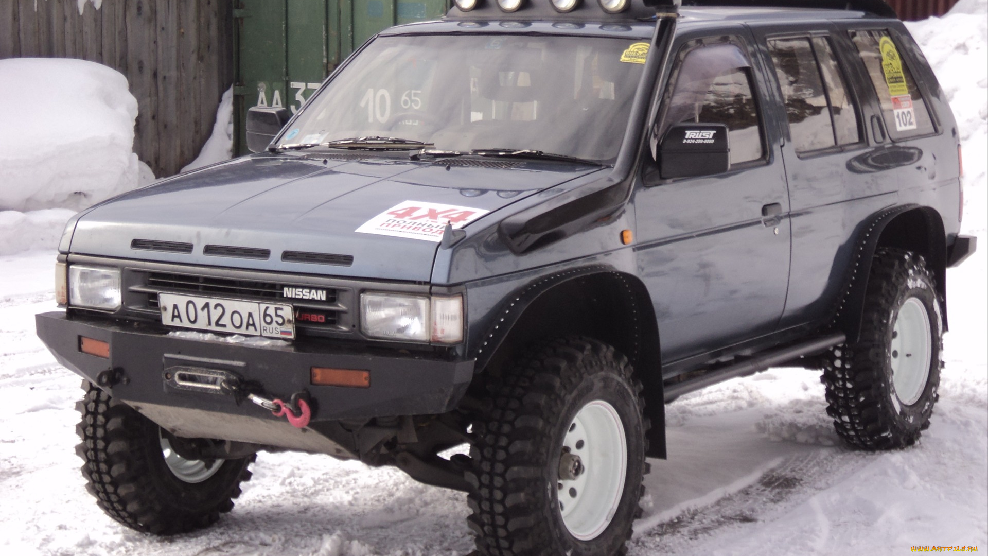 nissan, автомобили, выставки, и, уличные, фото, terrano