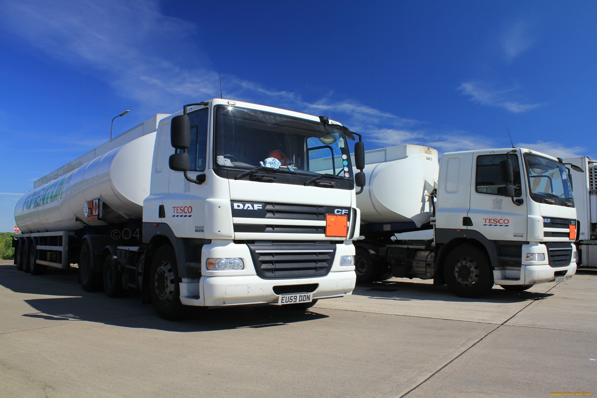 daf, автомобили, нидерланды, автобусы, шасси, седельные, тягачи, trucks, nv