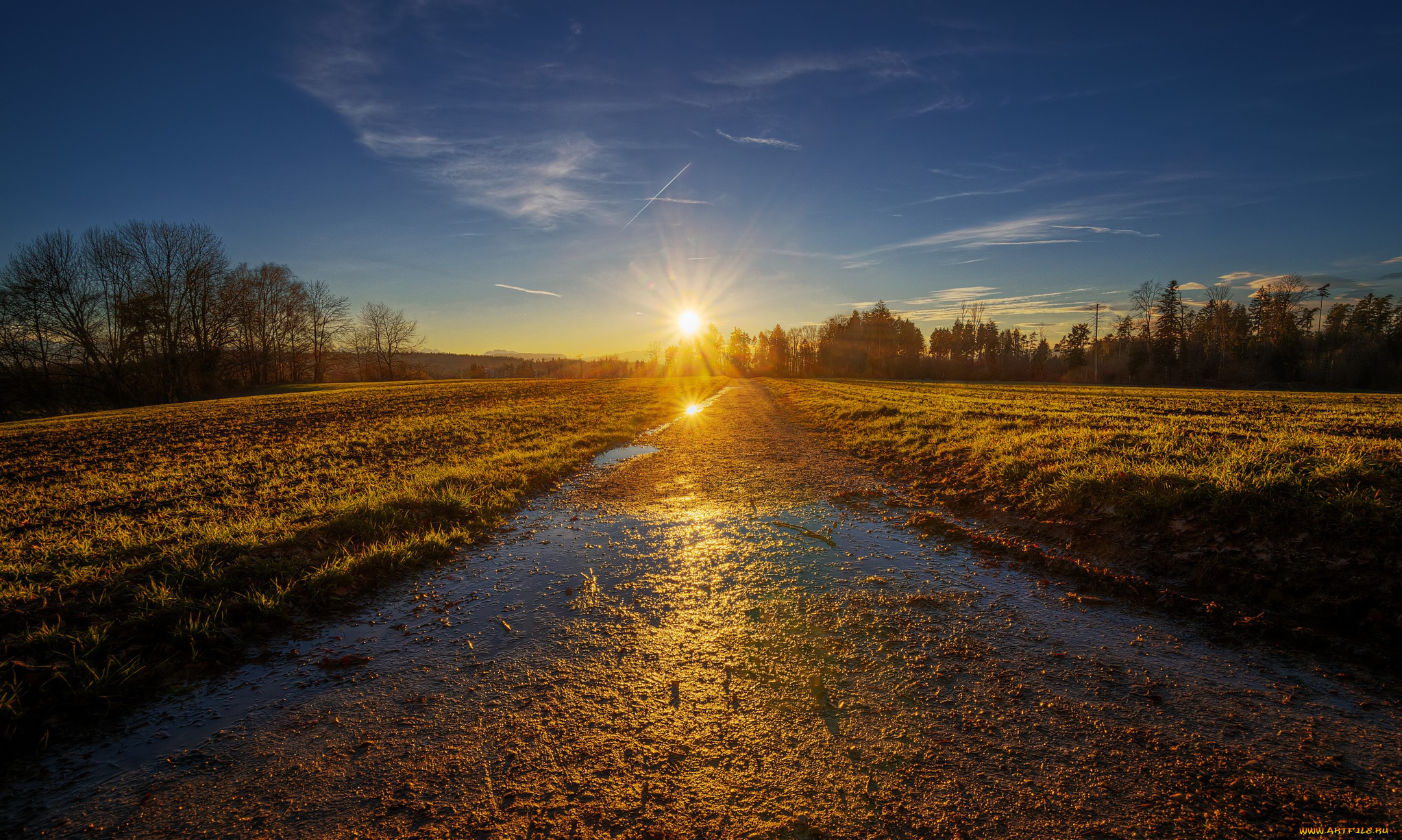 природа, восходы, закаты, лужи, пле, деревья, солнце, свет
