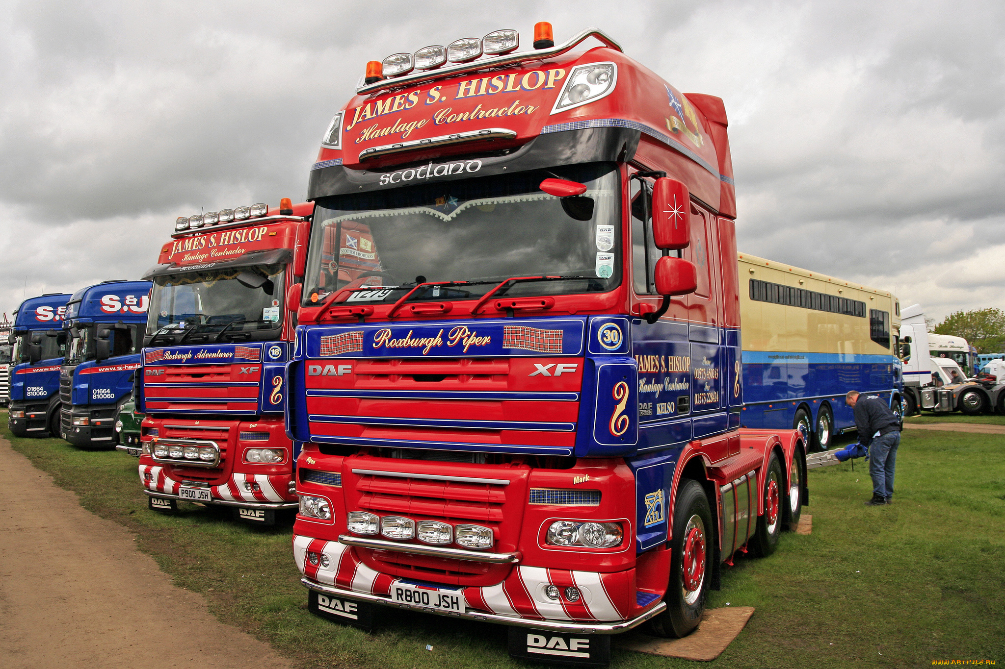 daf, автомобили, седельные, тягачи, trucks, nv, нидерланды, автобусы, шасси