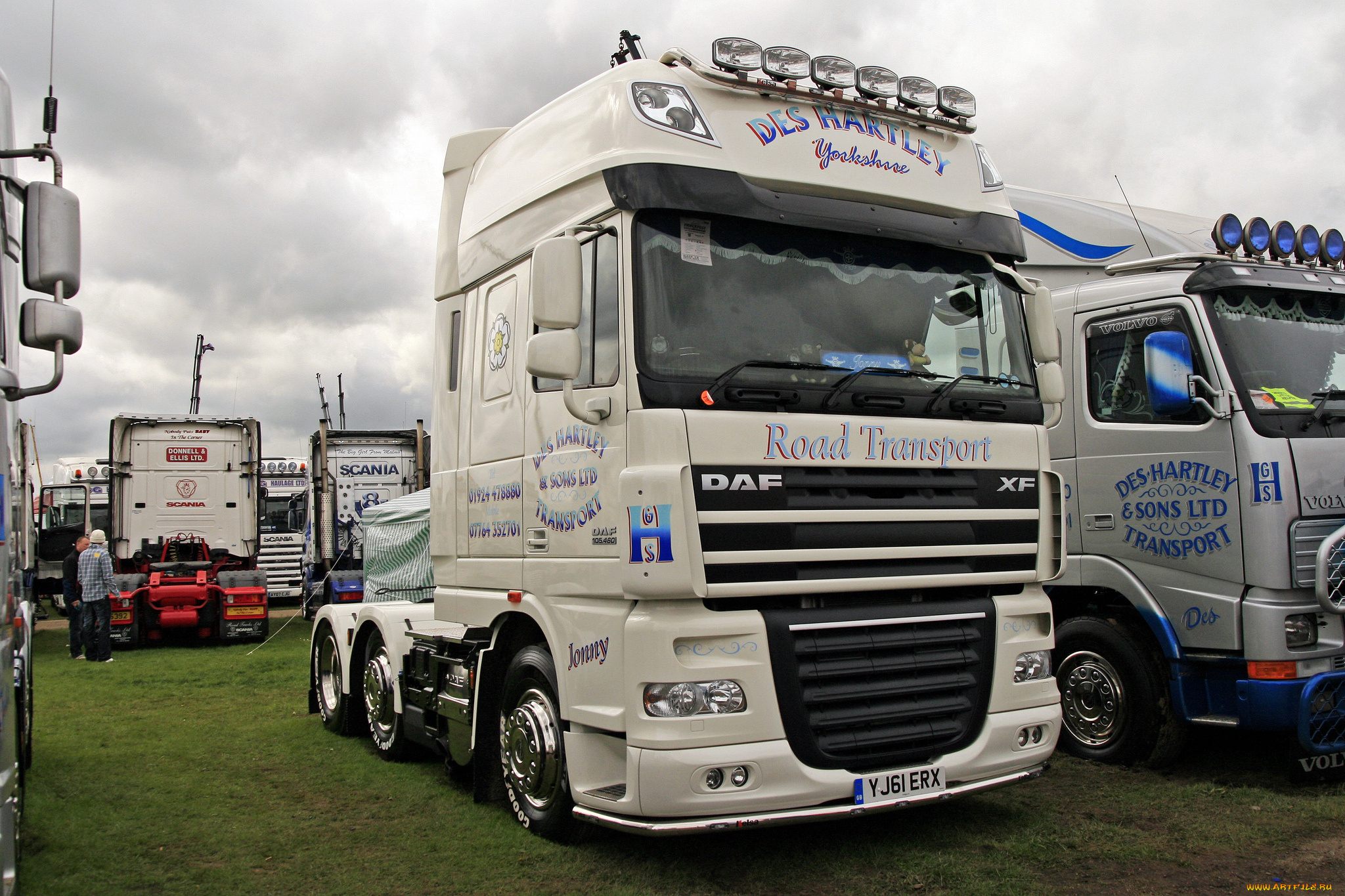 daf, автомобили, шасси, седельные, тягачи, trucks, nv, нидерланды, автобусы