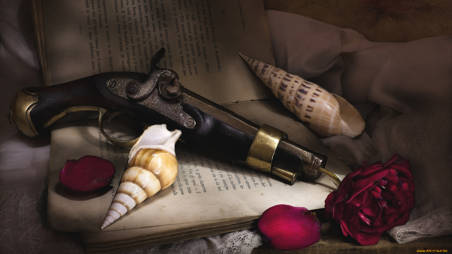 оружие, пистолеты, текстура, роза, ракушка, лепестки, натюрморт, книга, пистолет