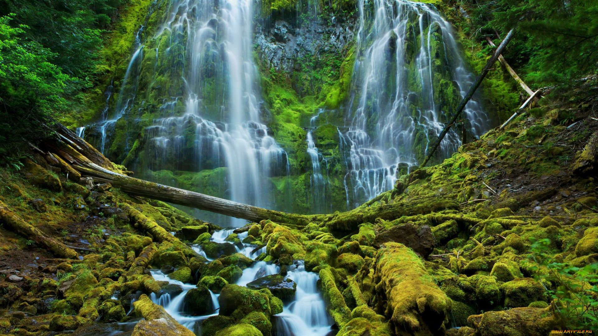 природа, водопады, бревна, водопад, камни, мох