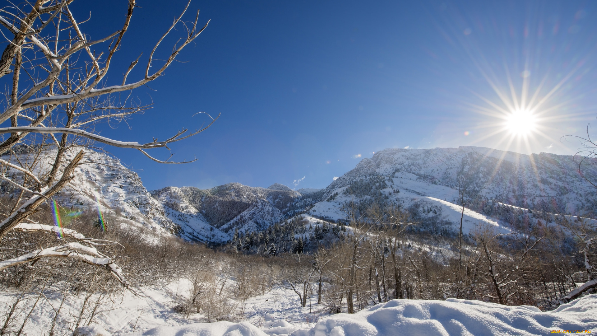 природа, зима, рассвет