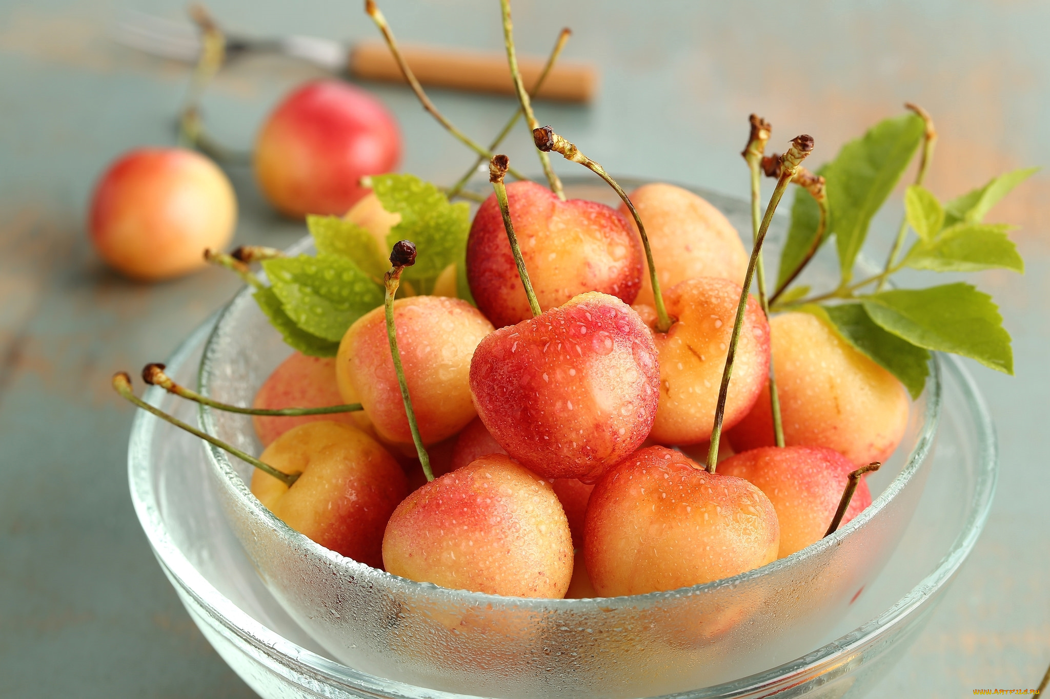 еда, вишня, , черешня, макро, ягоды, капли, черешня