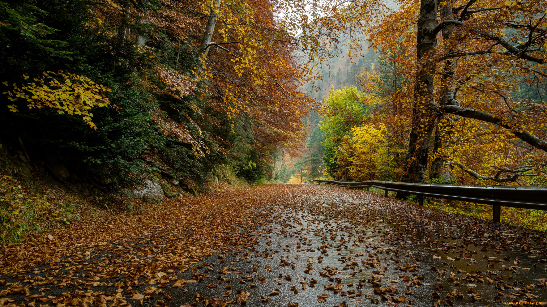 природа, дороги, тракт