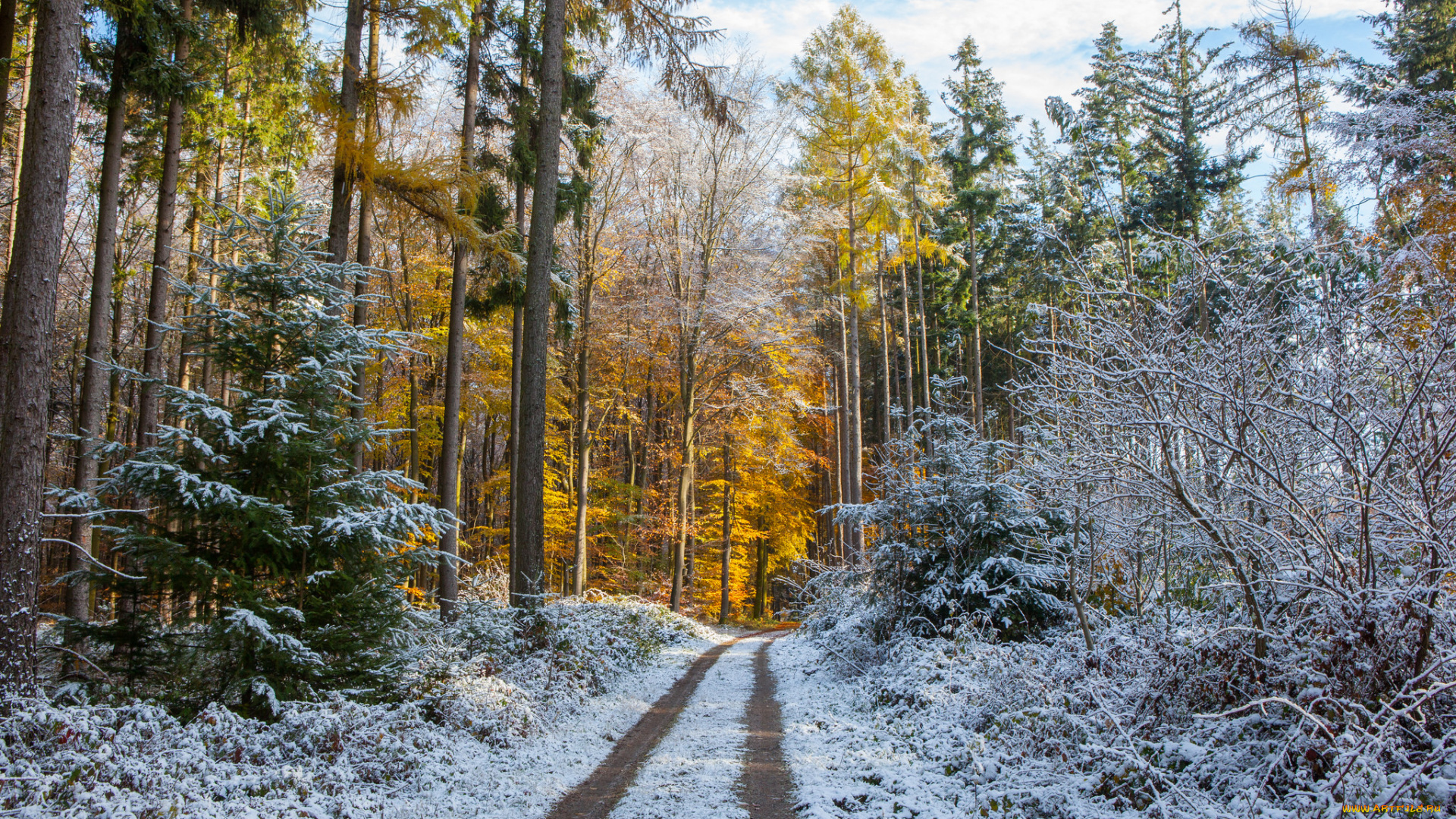природа, дороги, тракт
