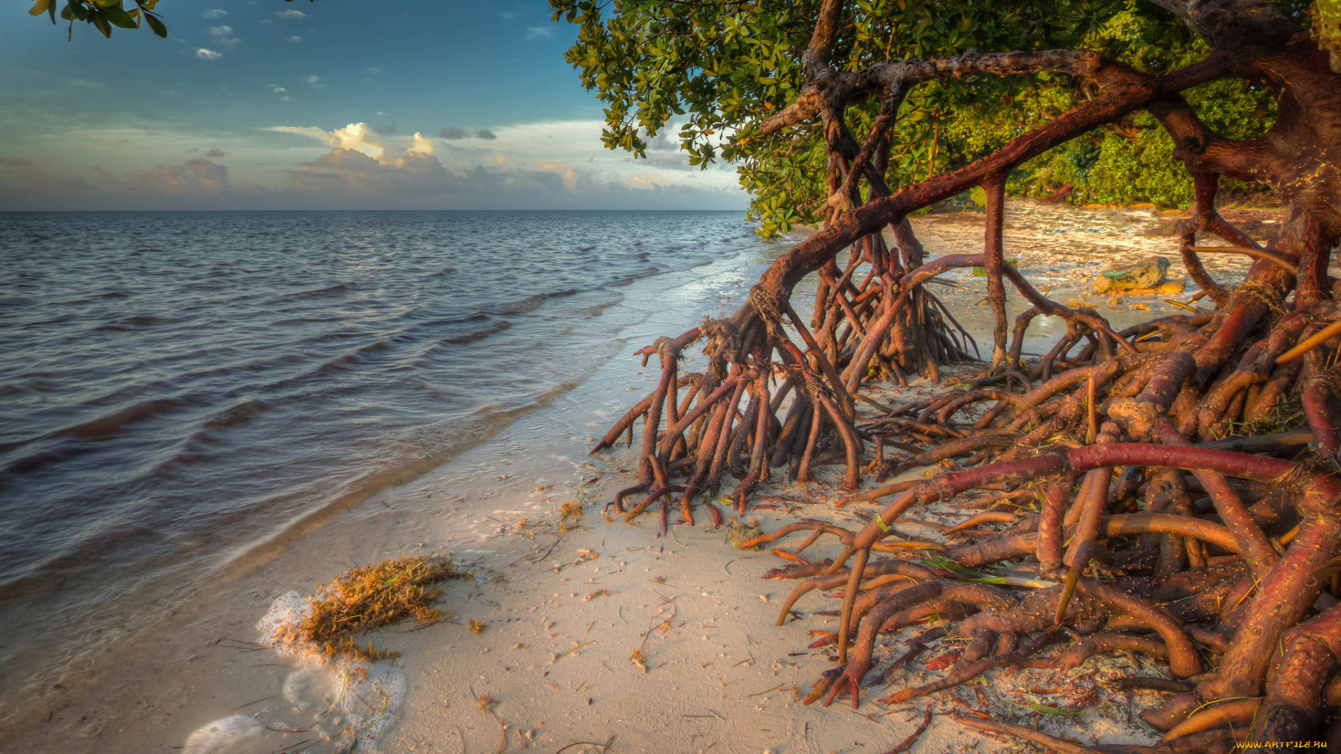 природа, побережье, берег, море