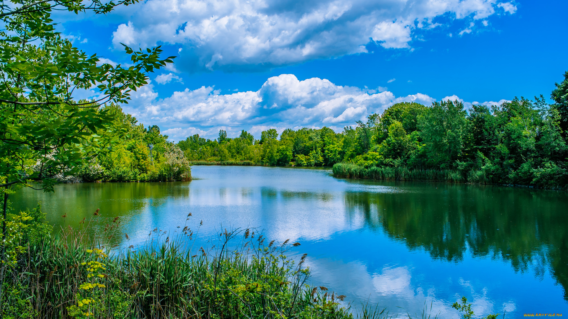 природа, реки, озера, лес, река