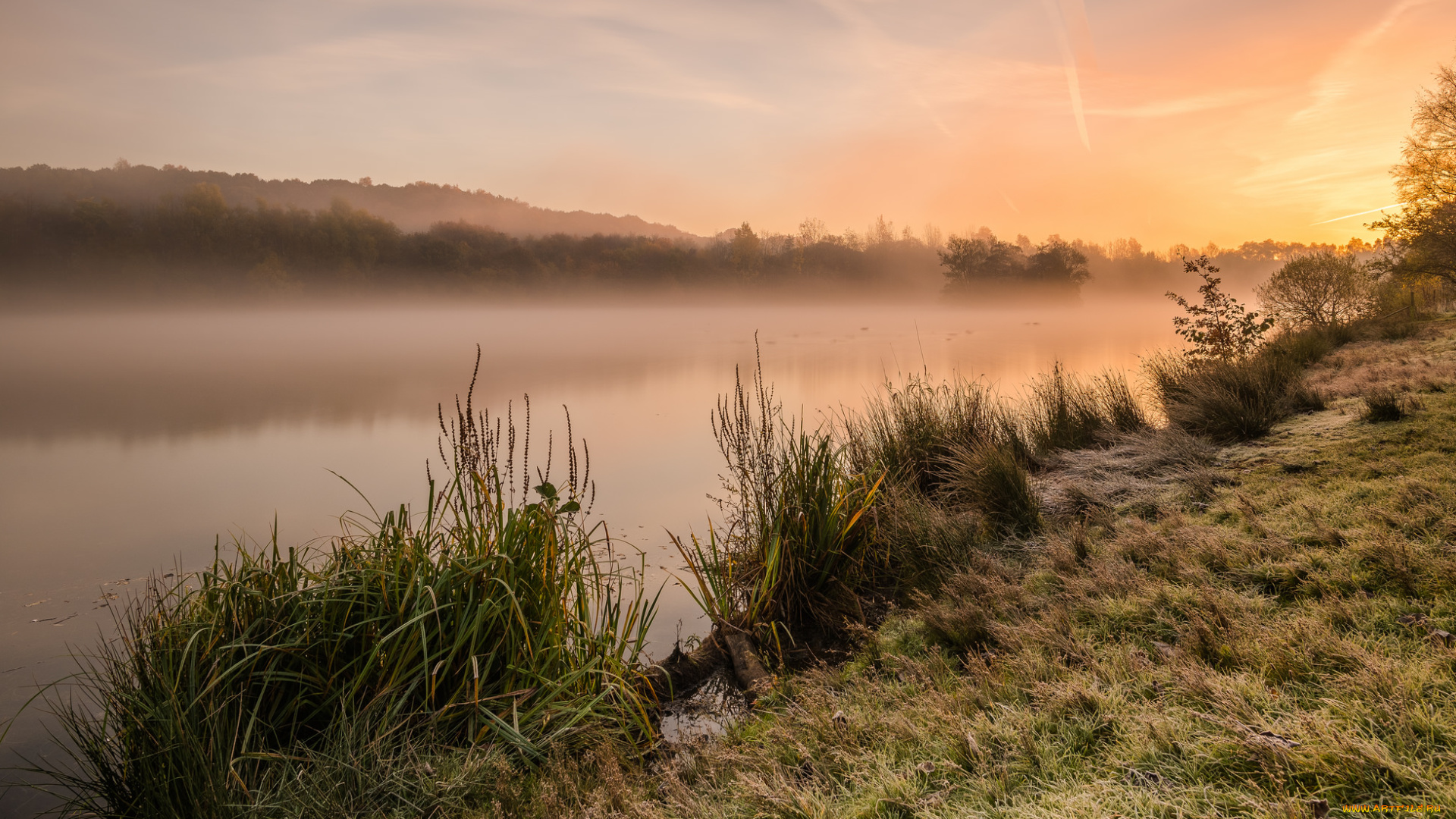 природа, реки, озера, лес, река