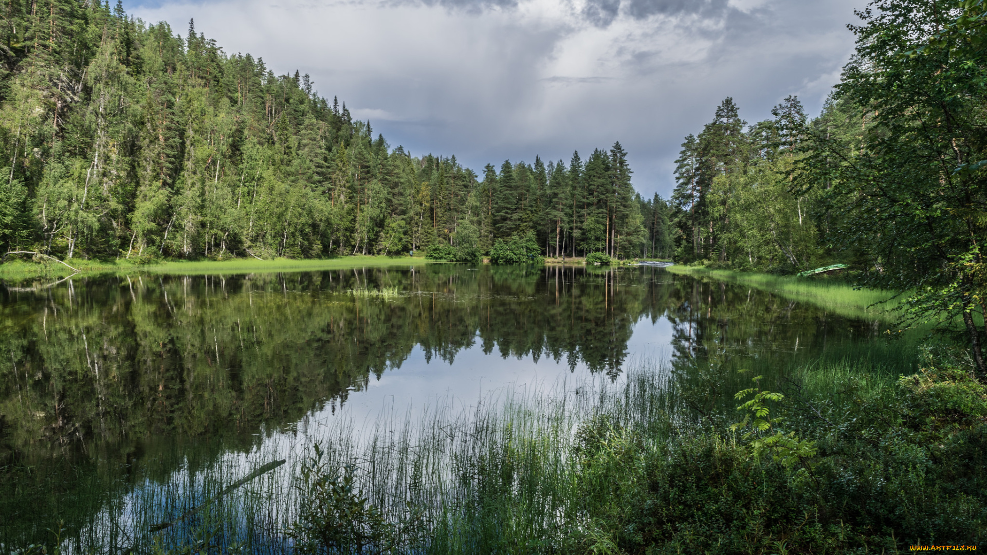 природа, реки, озера, река, лес