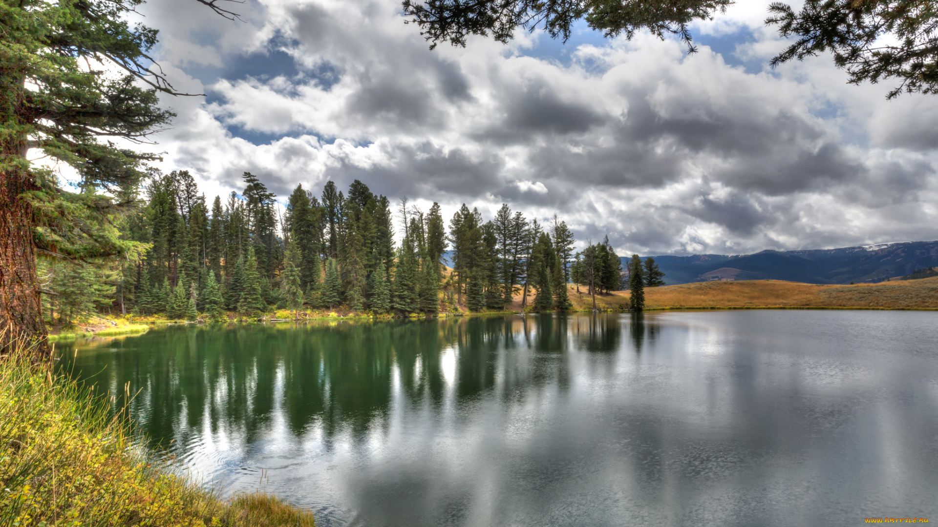 природа, реки, озера, река, лес