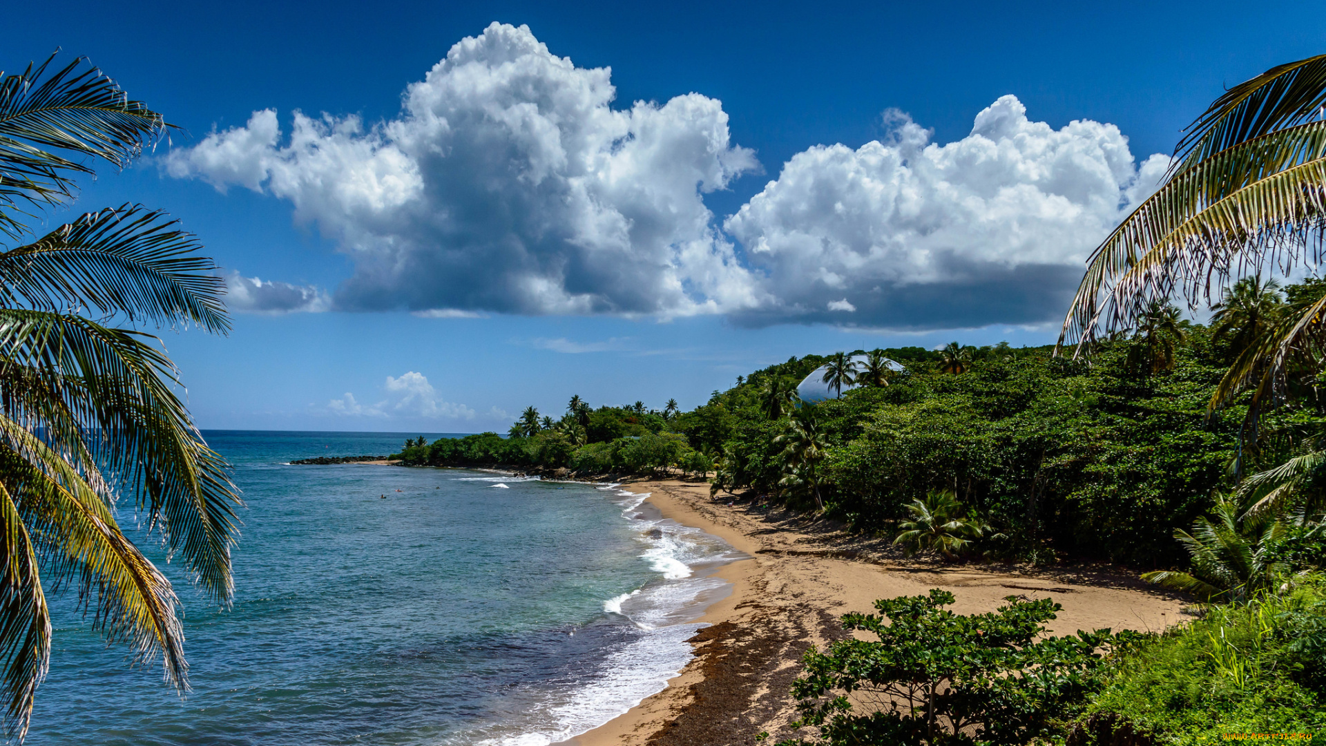 природа, тропики, курорт