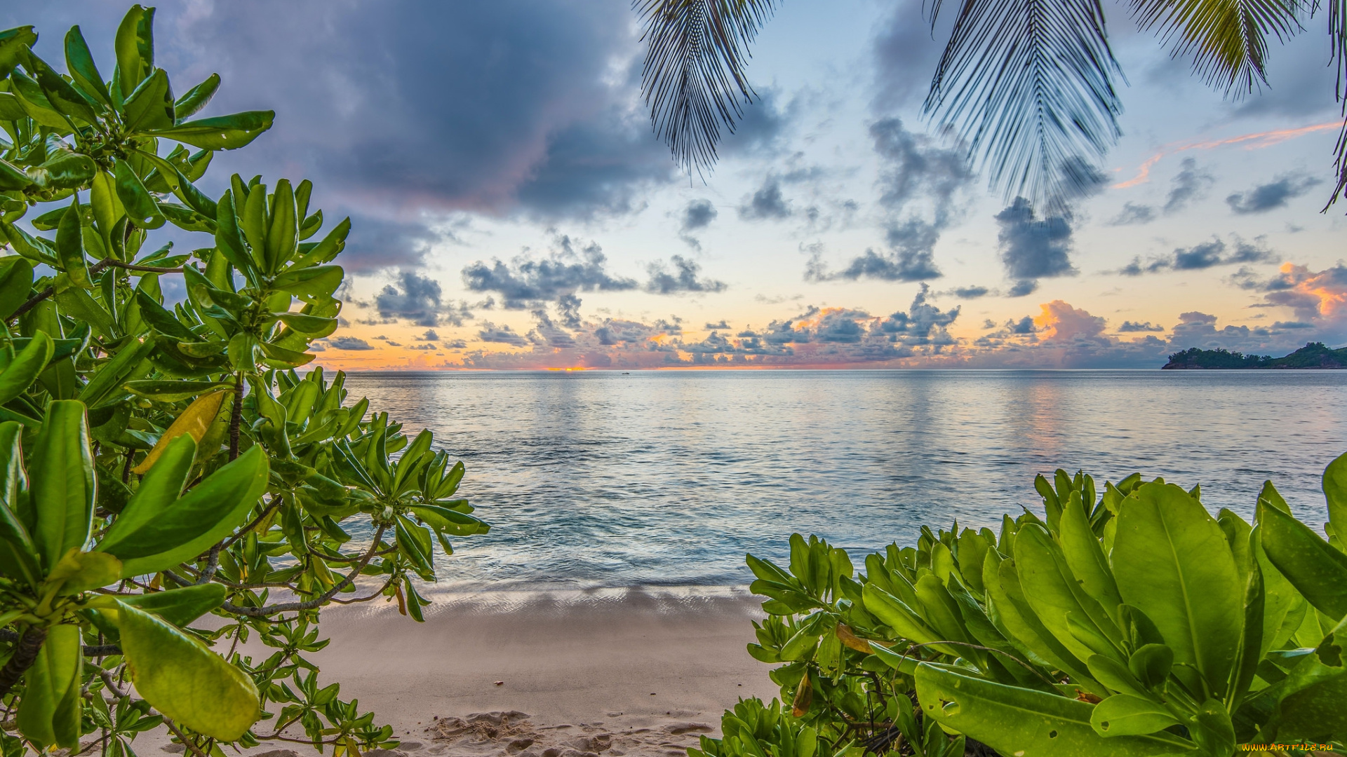 природа, тропики, курорт