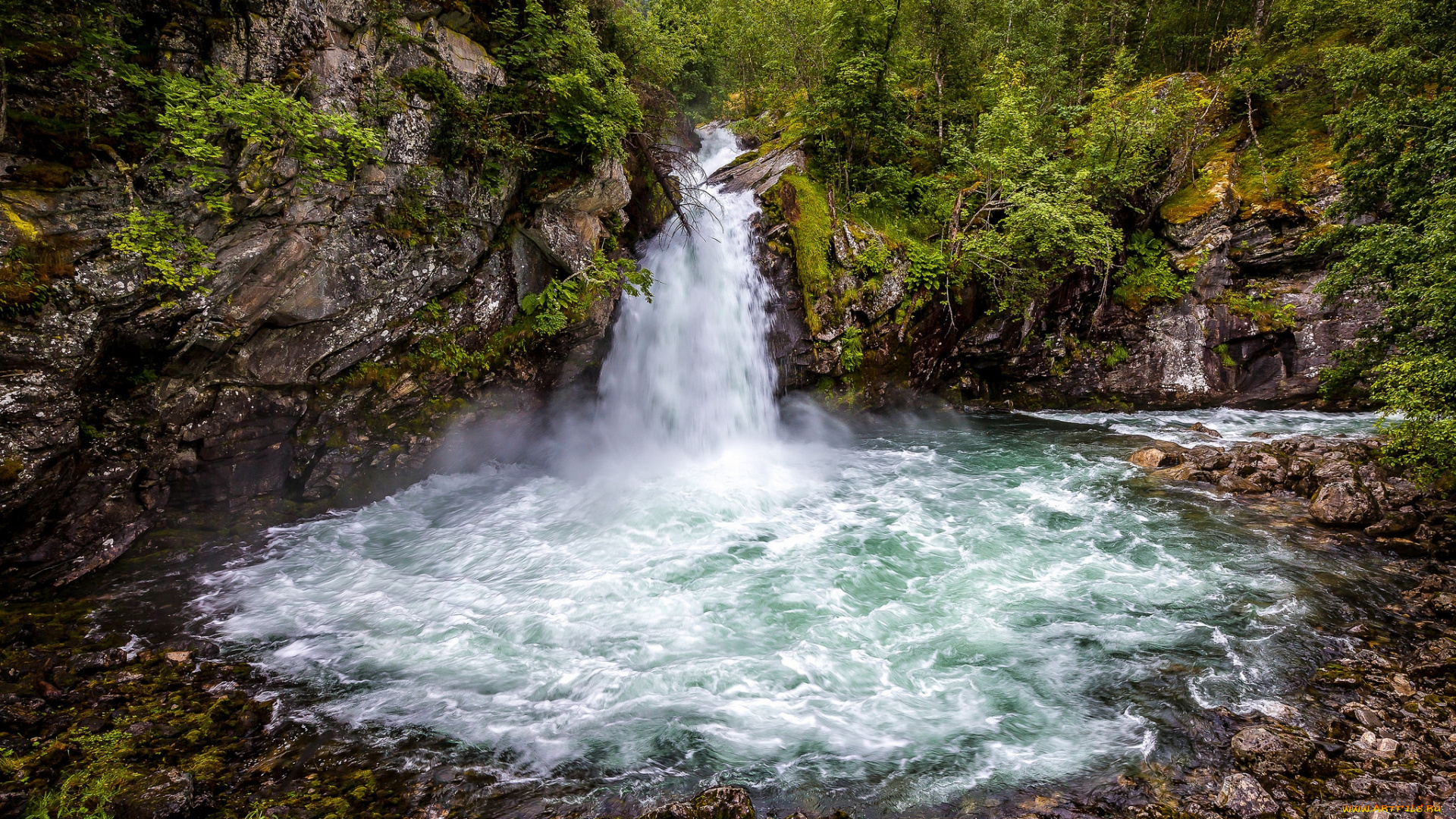 природа, водопады, река, водопад, лес