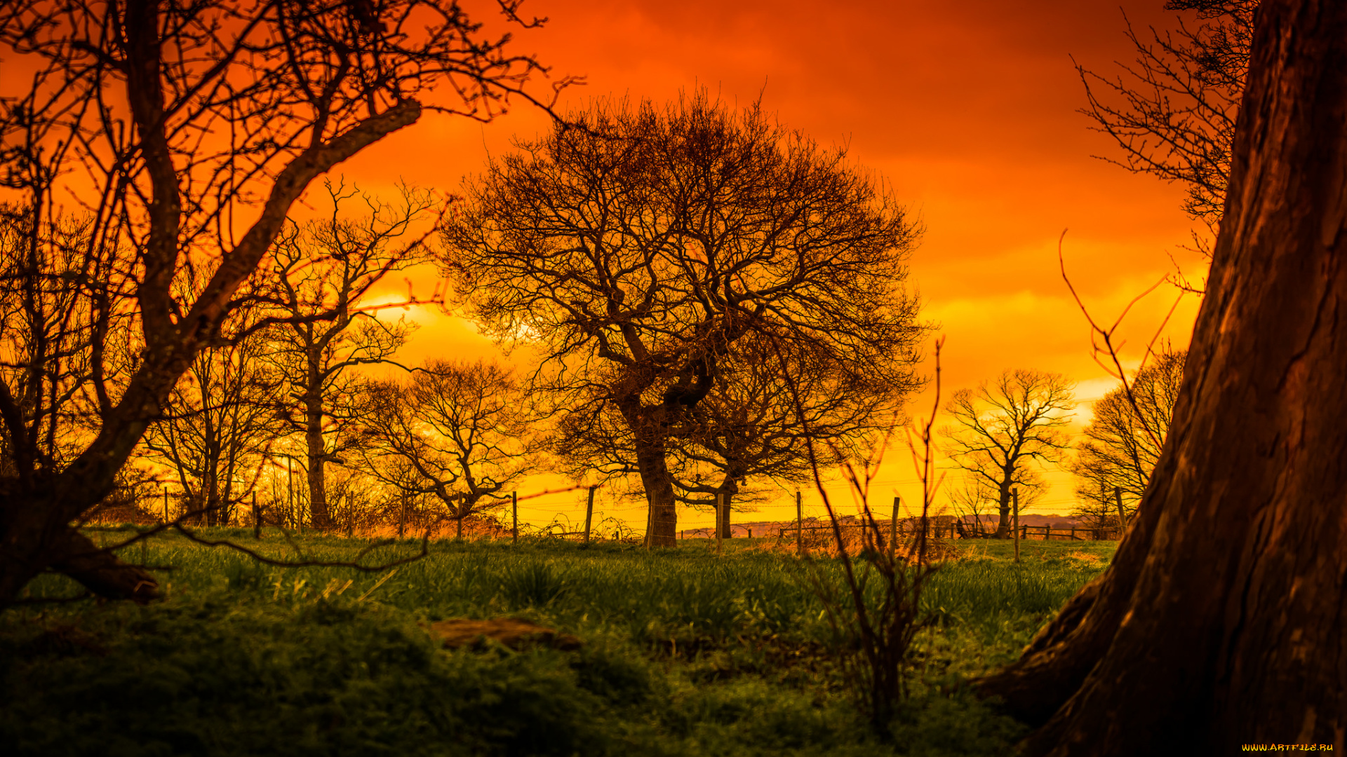 природа, восходы, закаты, рассвет