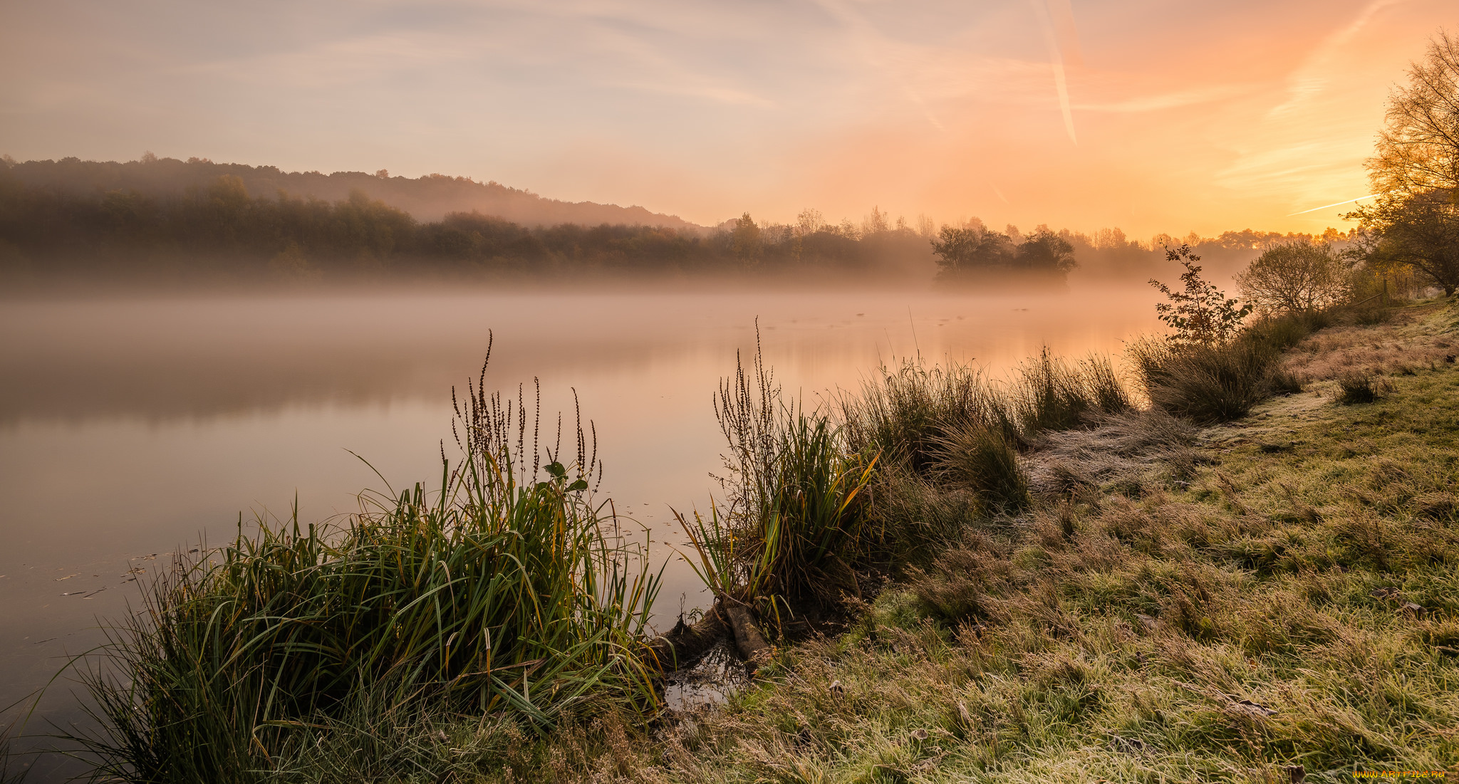природа, реки, озера, лес, река