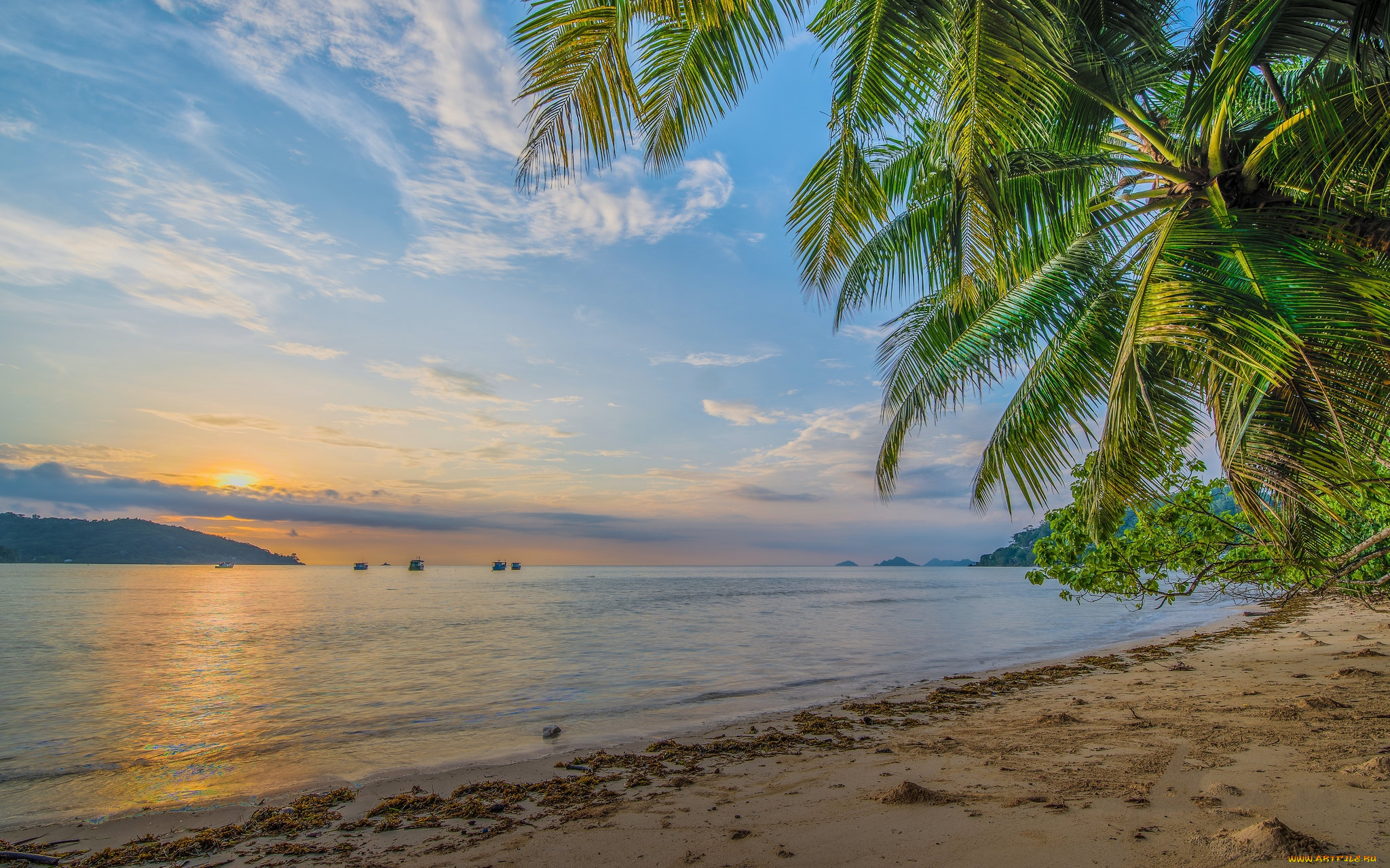 природа, тропики, курорт