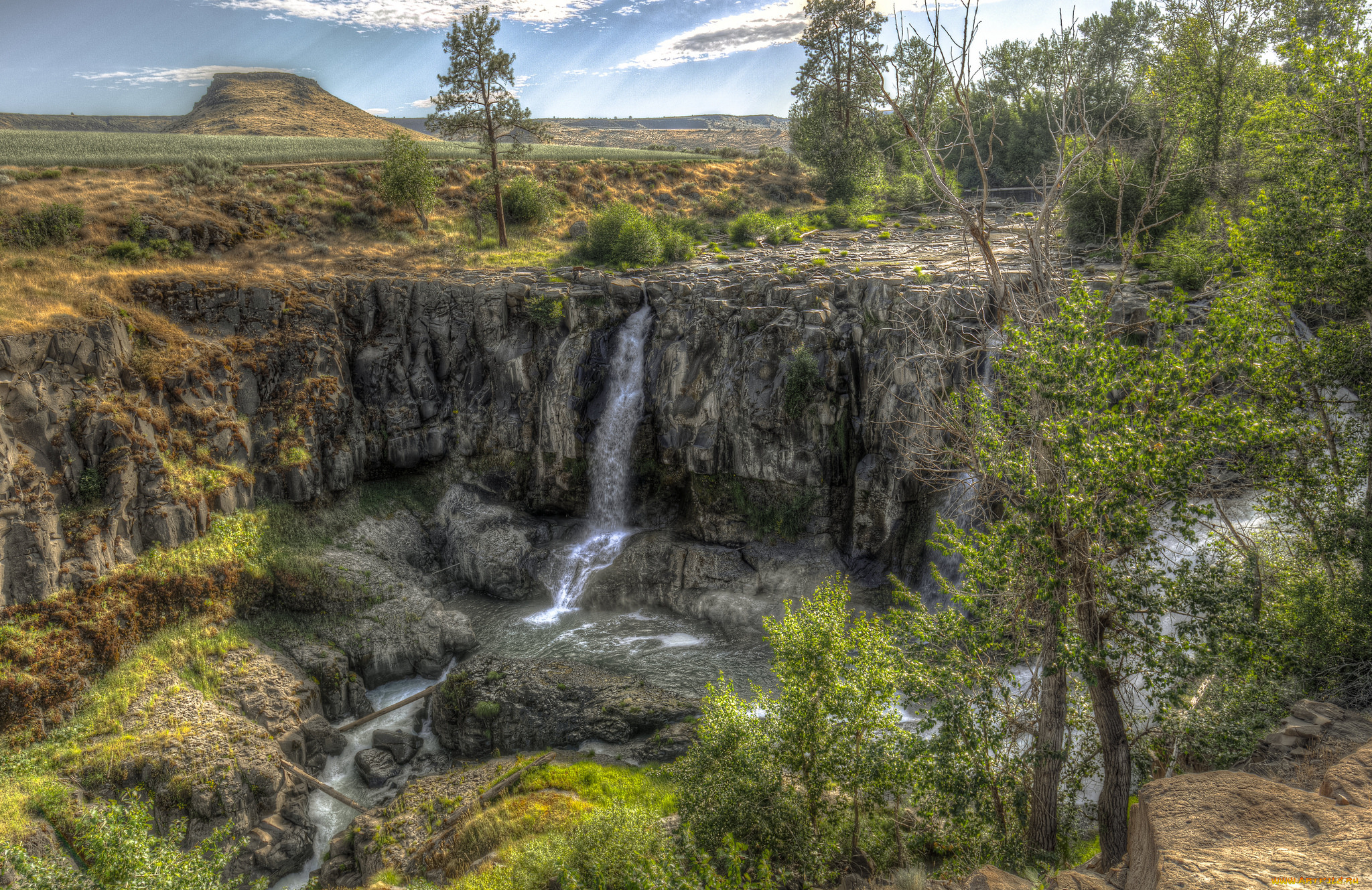 природа, водопады, лес, водопад, река