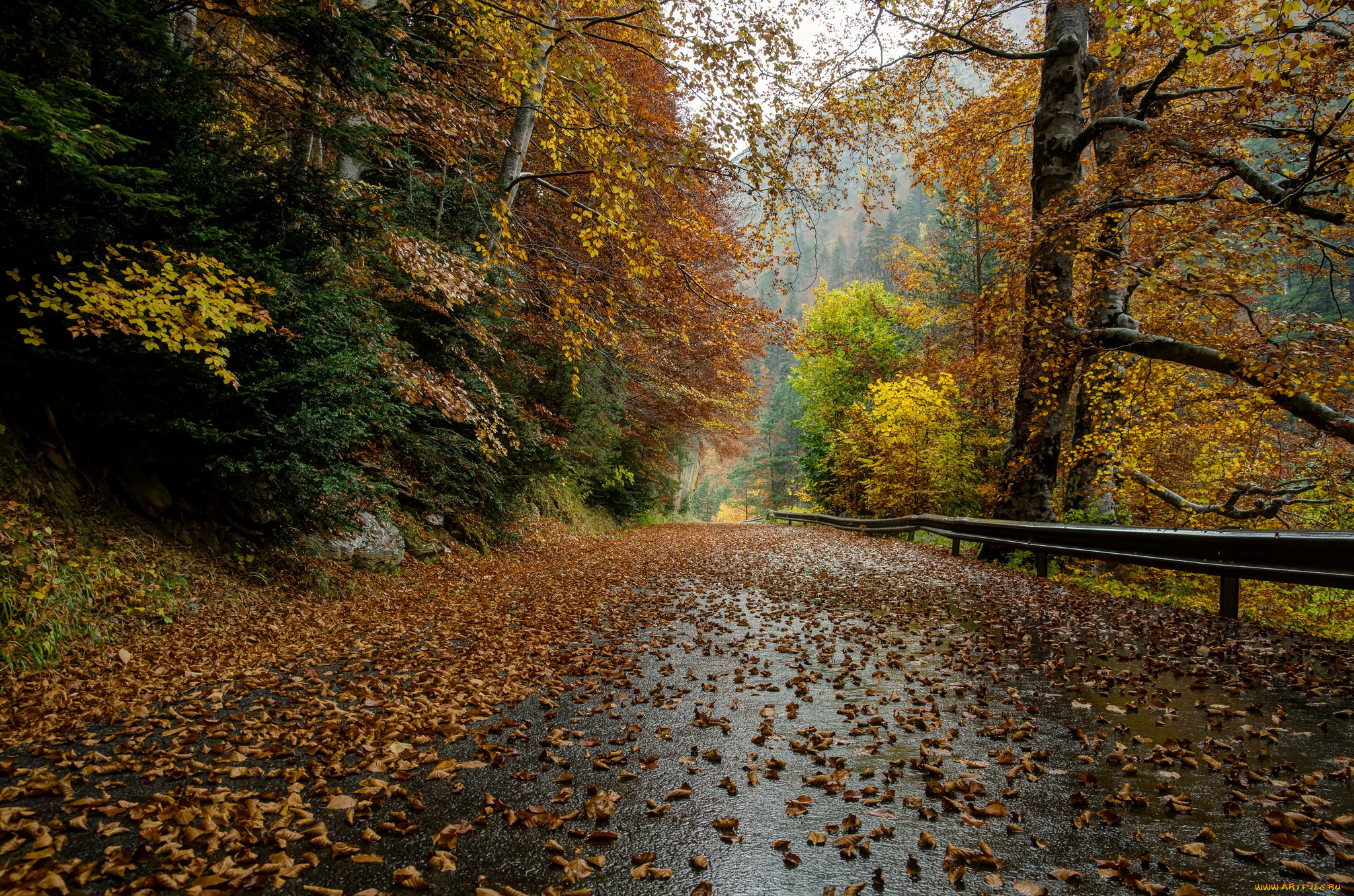 природа, дороги, тракт