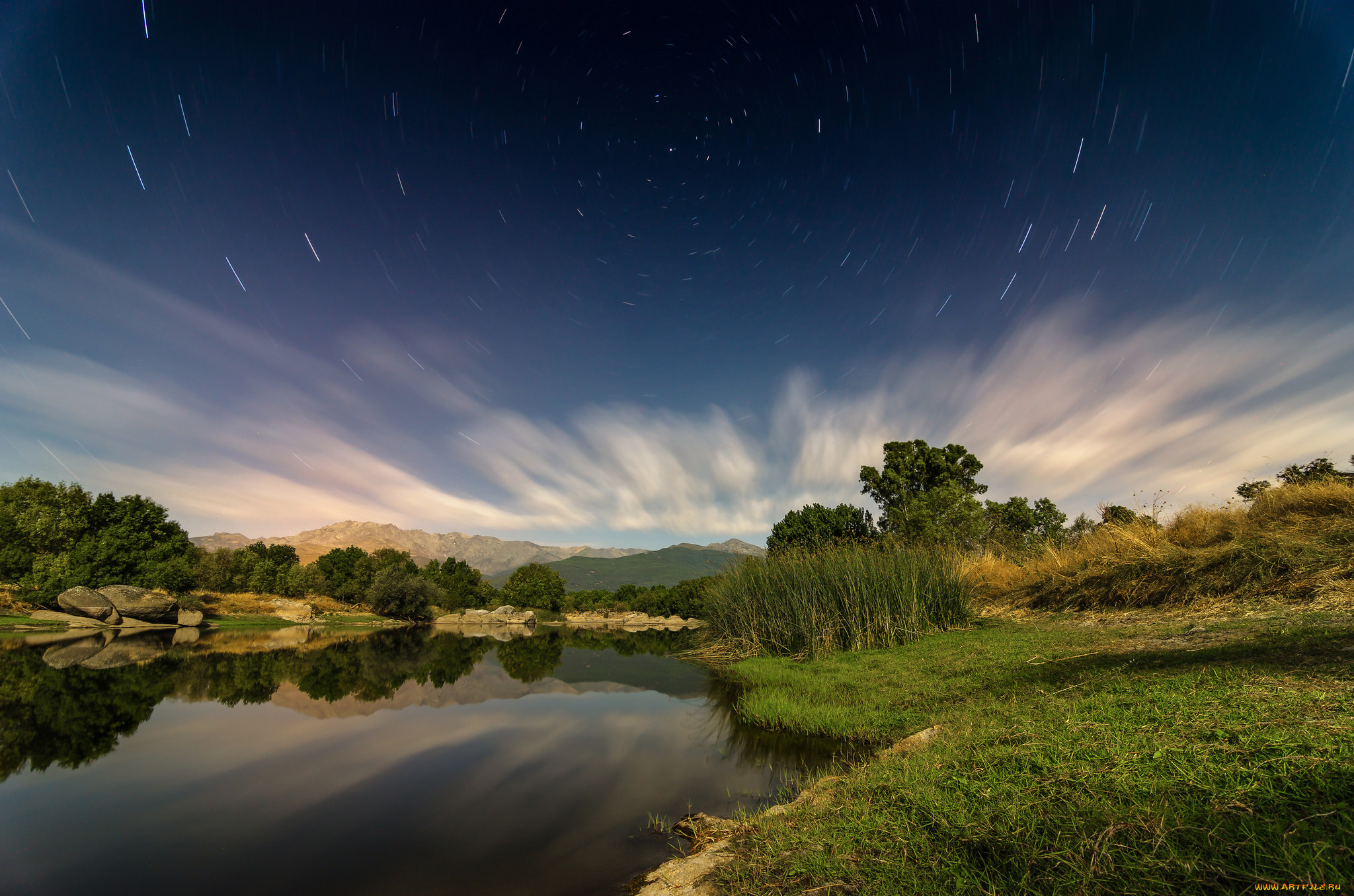 природа, реки, озера, река, лес