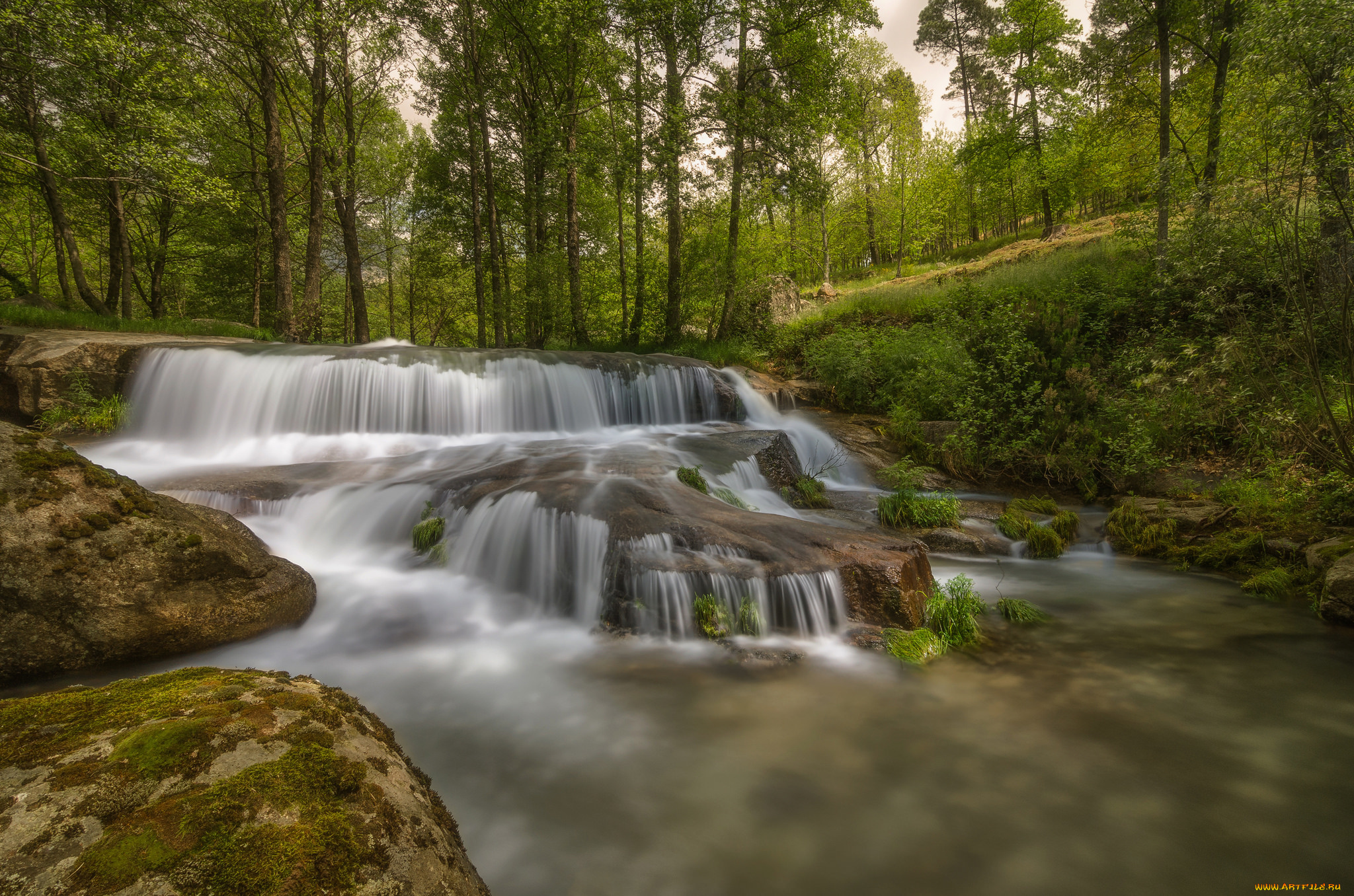 природа, водопады, лес, река, водопад
