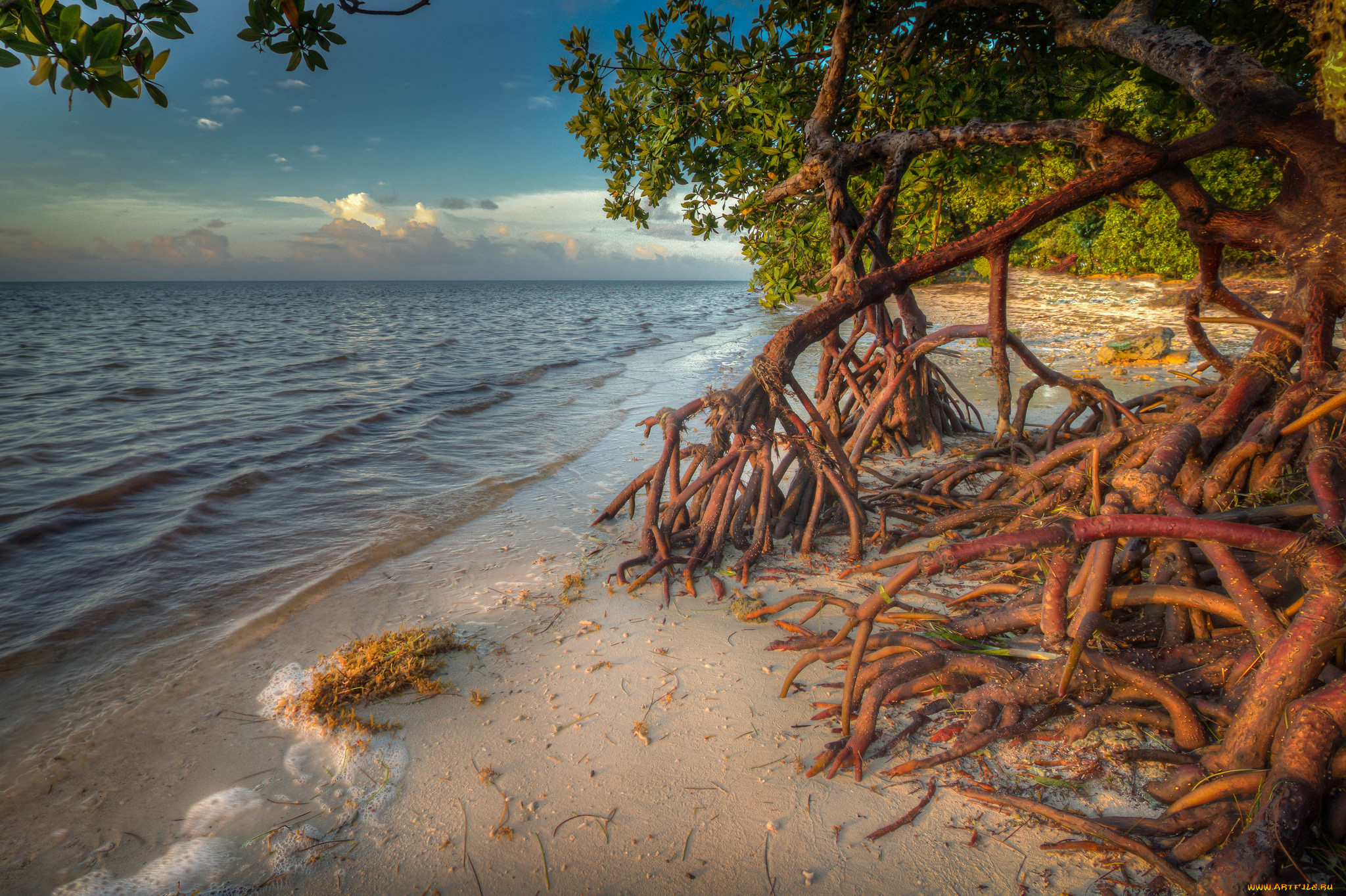 природа, побережье, берег, море