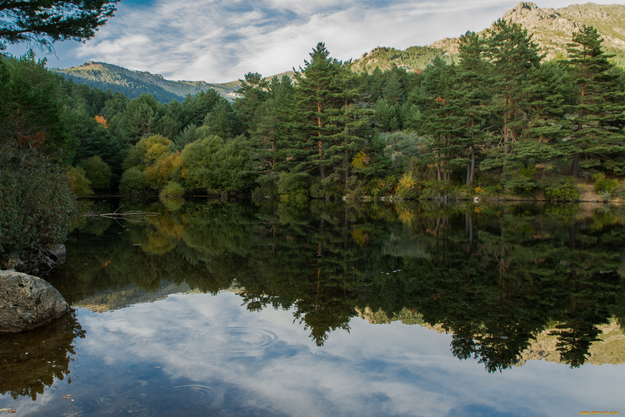 природа, реки, озера, лес, река