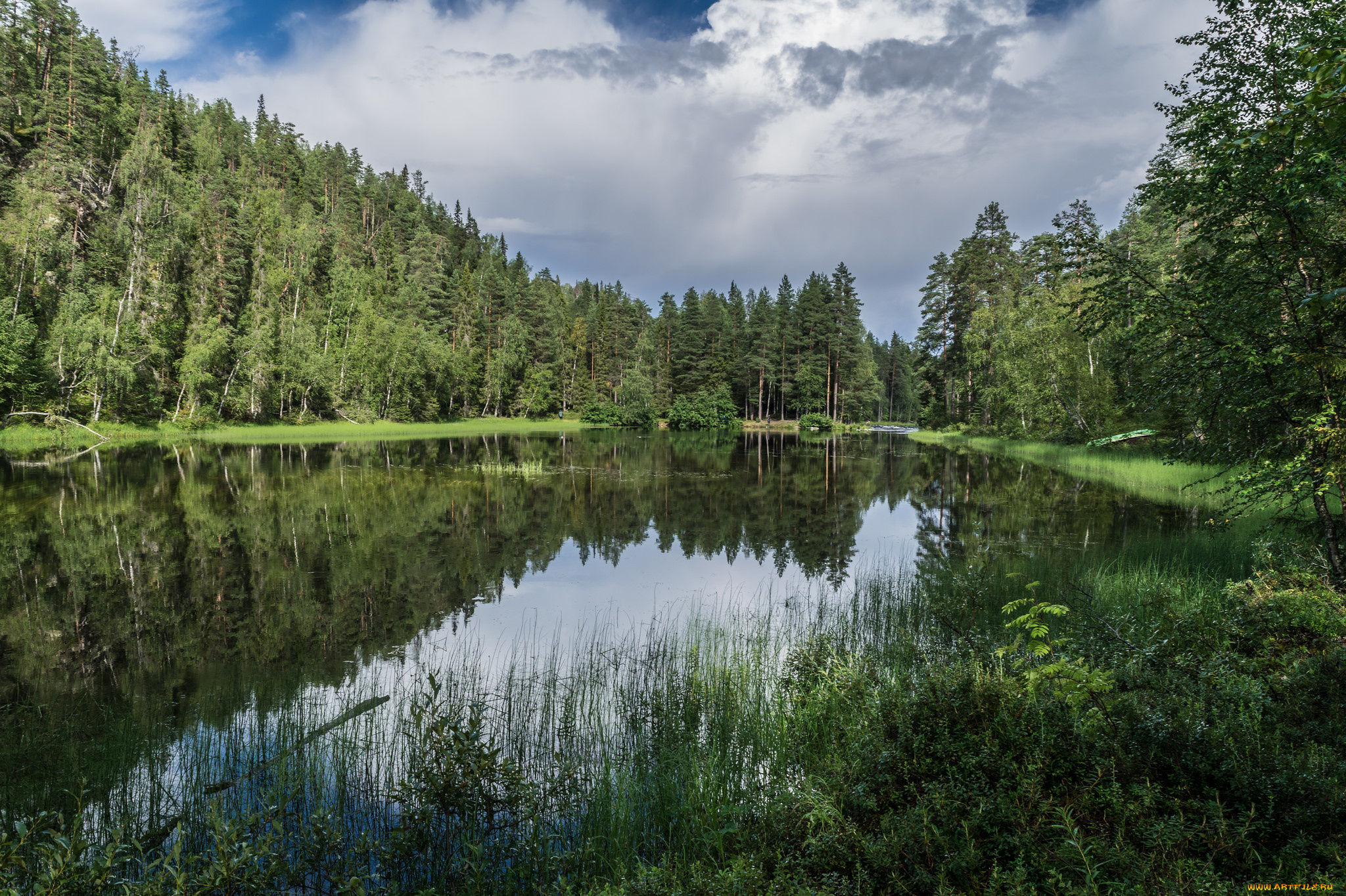 природа, реки, озера, река, лес