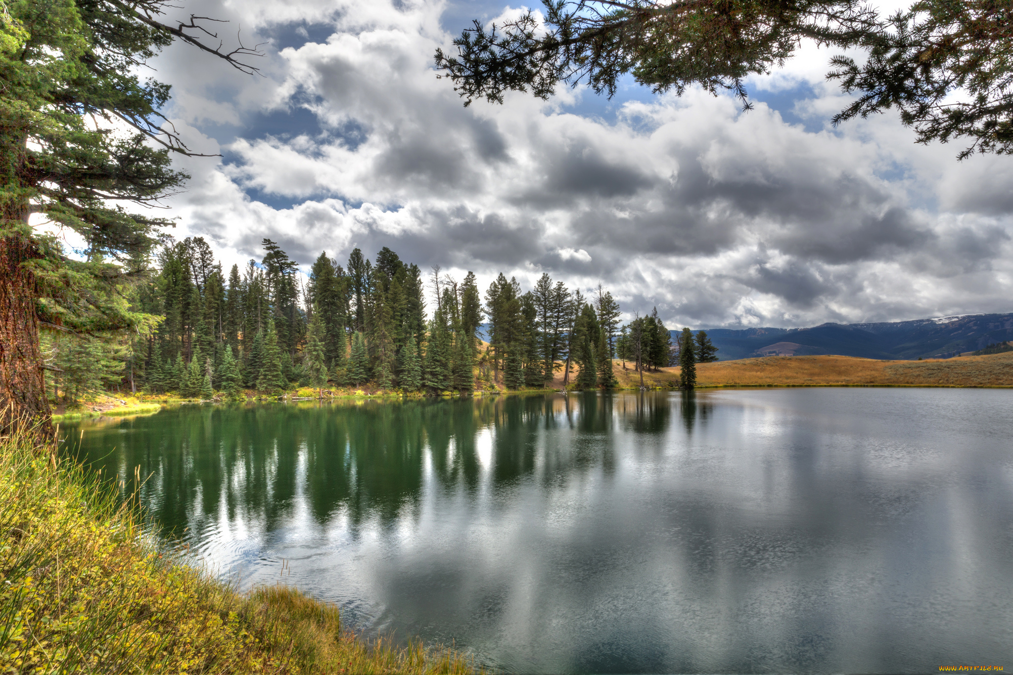 природа, реки, озера, река, лес