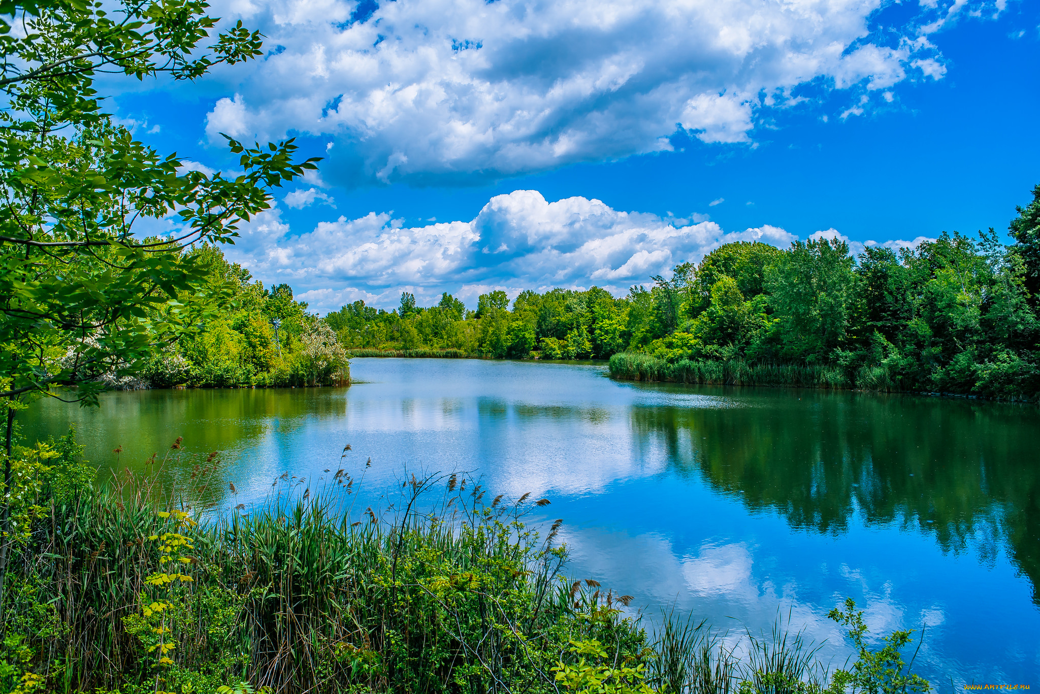 природа, реки, озера, лес, река