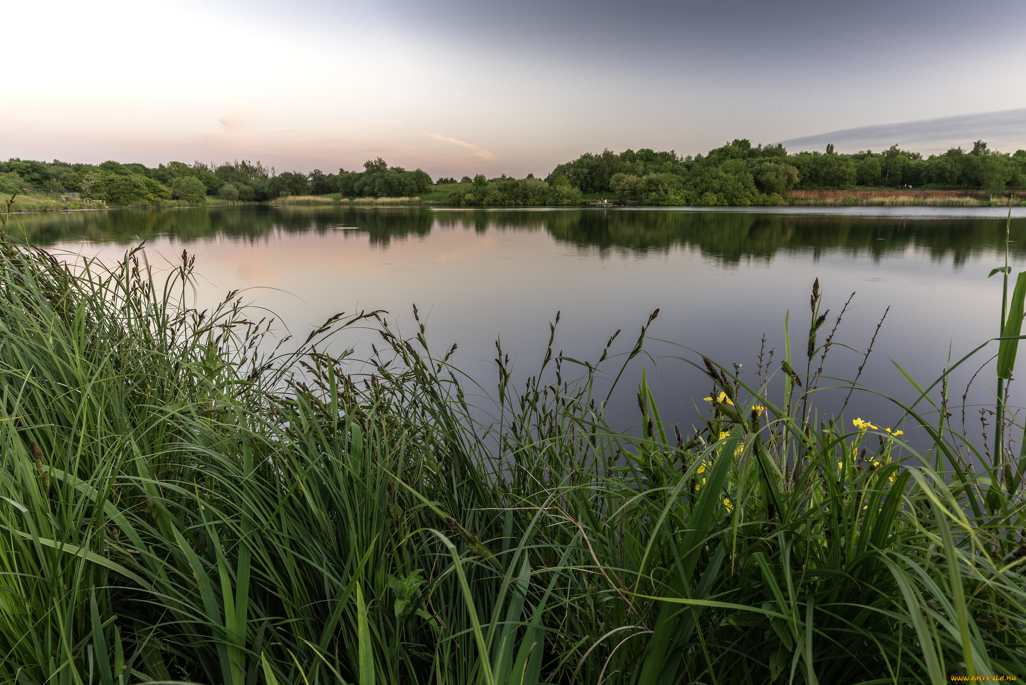 природа, реки, озера, река, лес