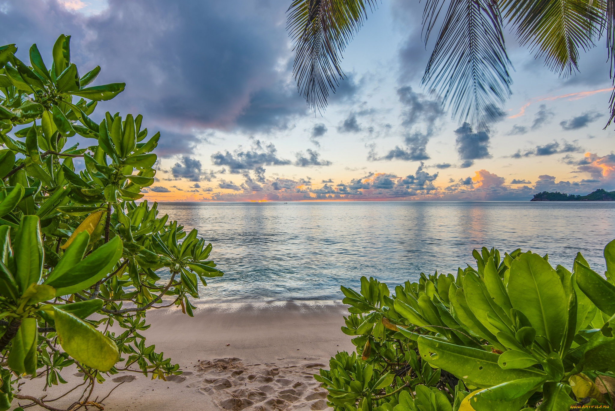 природа, тропики, курорт